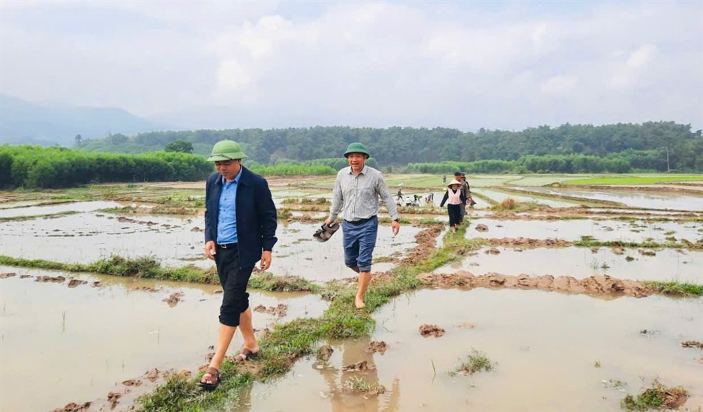 Lãnh đạo xã Châu Khê kiểm tra tình hình sản xuất vụ Xuân. Ảnh: H.T
