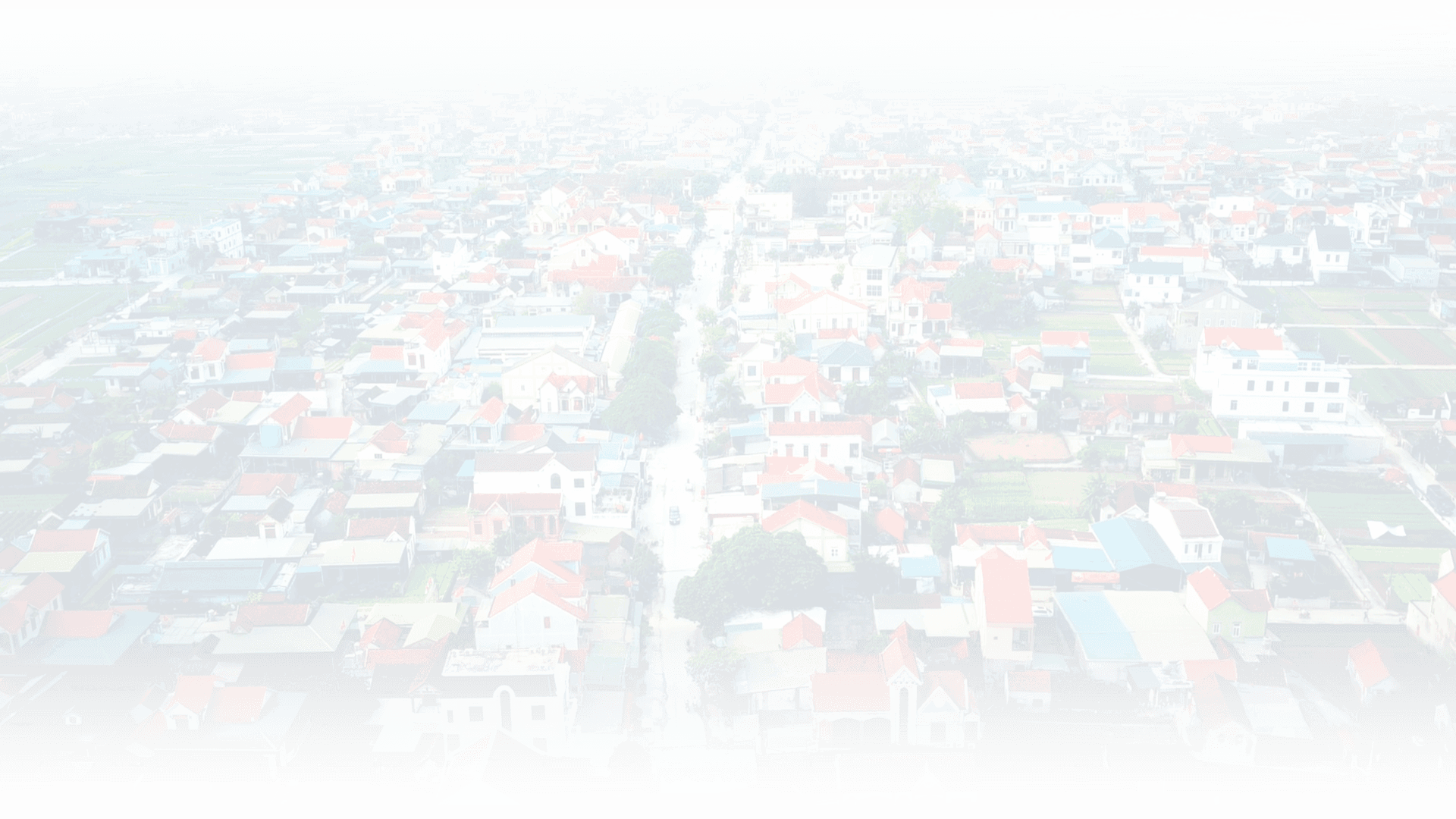 nen-quynhanh2.png