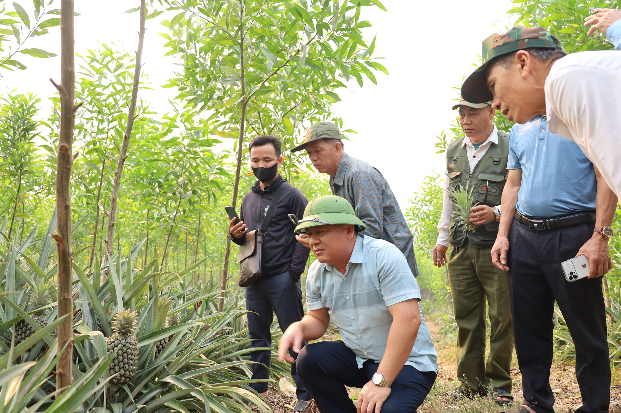 Đoàn công tác xã Yên Hòa tham quan, tìm hiểu mô hình phát triển vùng dứa nguyên liệu tại xã Quỳnh Thắng.