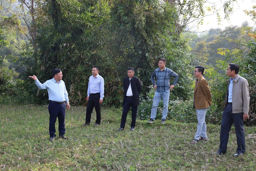 Lãnh đạo UBND xã Yên Hòa cùng các phòng, ban chuyên môn và đại diện doanh nghiệp trao đổi, định hướng phát triển vùng trồng dứa nguyên liệu