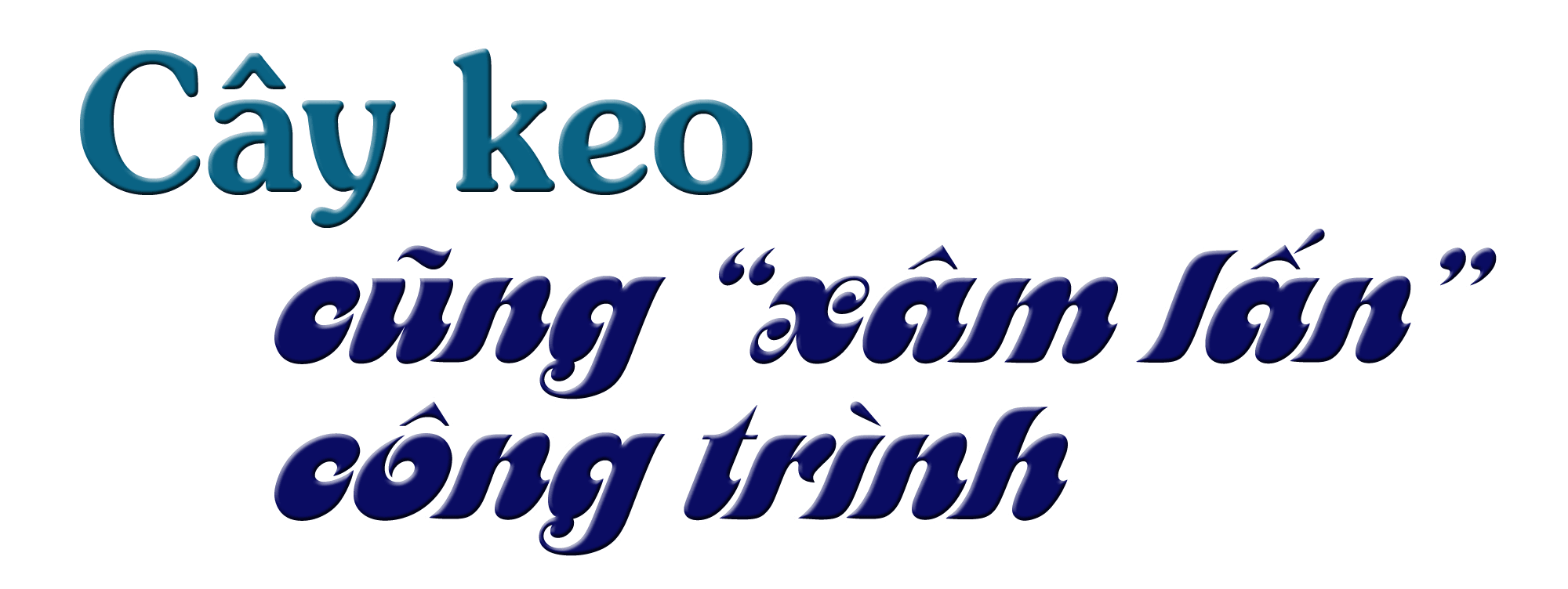 titphu2(1).png