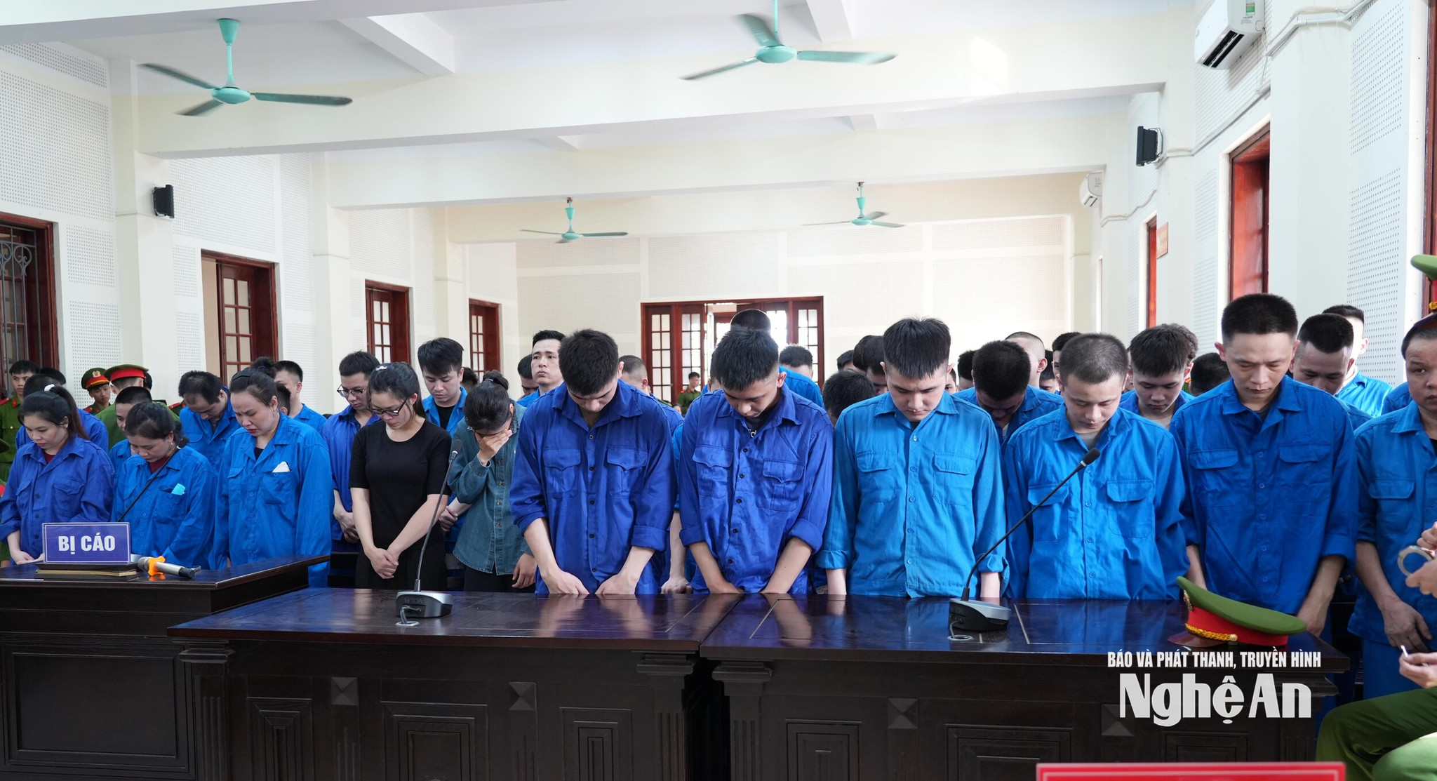 67.ảnh pv