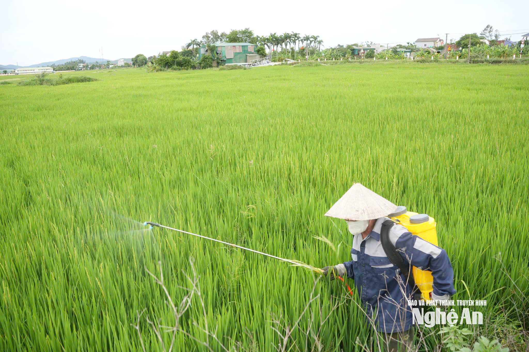bna_anh5.jpg