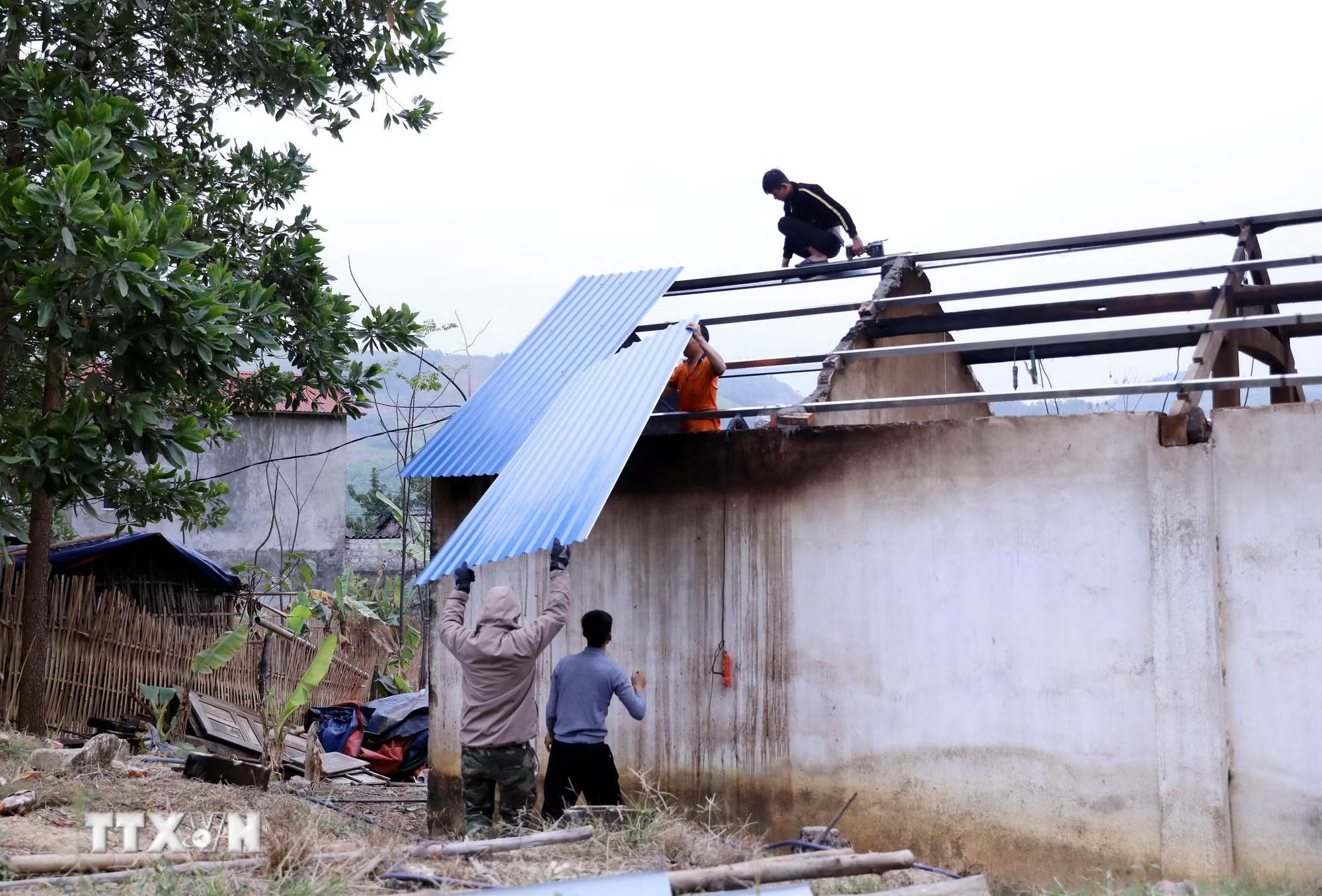 ttxvn-xoa-nha-tam-tuyen-quang.jpg