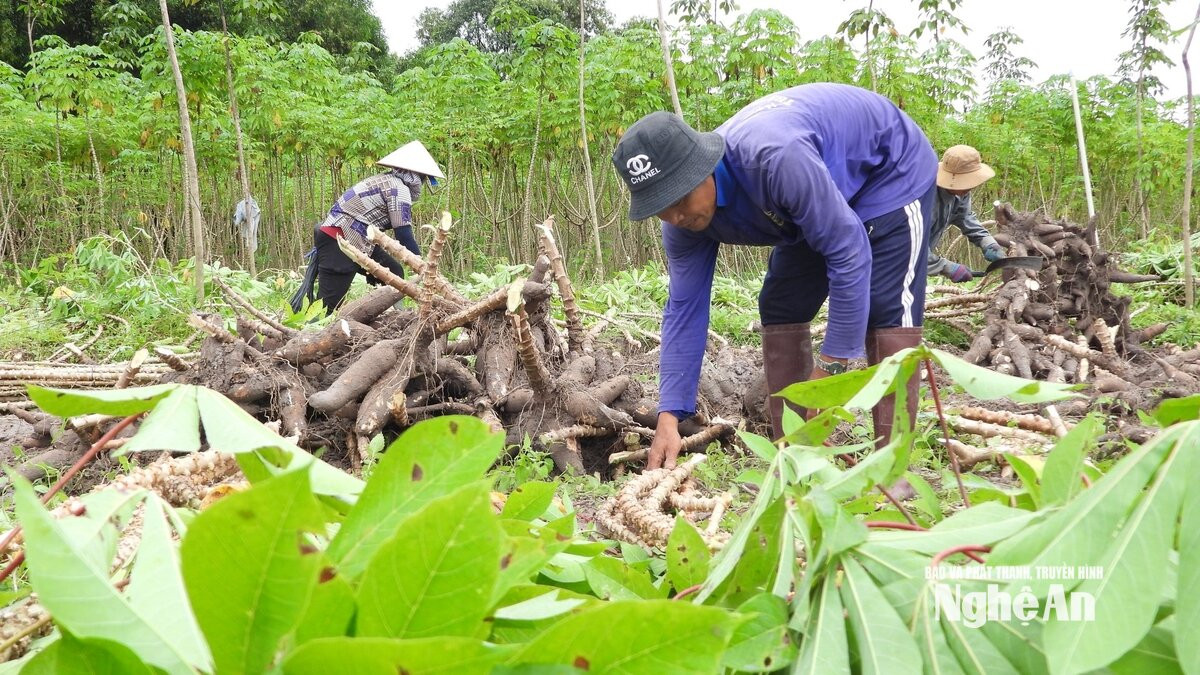  người dân 2