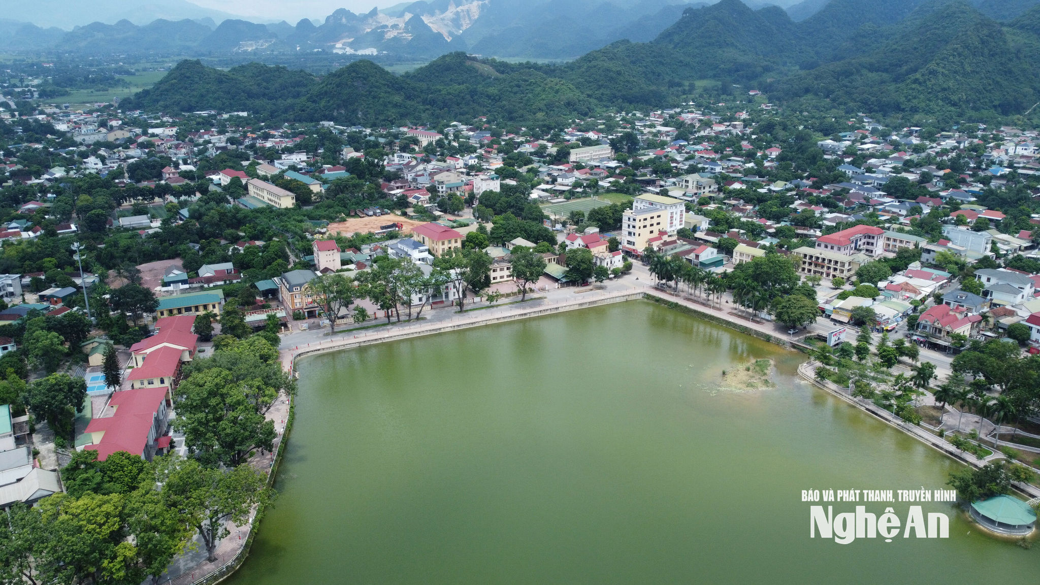 Quỳ hợp 5
