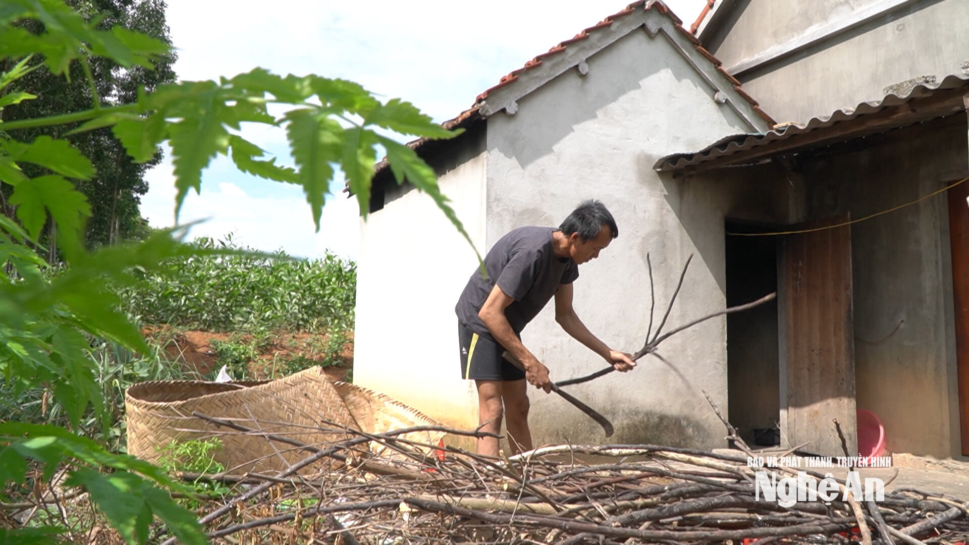 Anh Phan Văn Tình gần như không có khả năng lao động