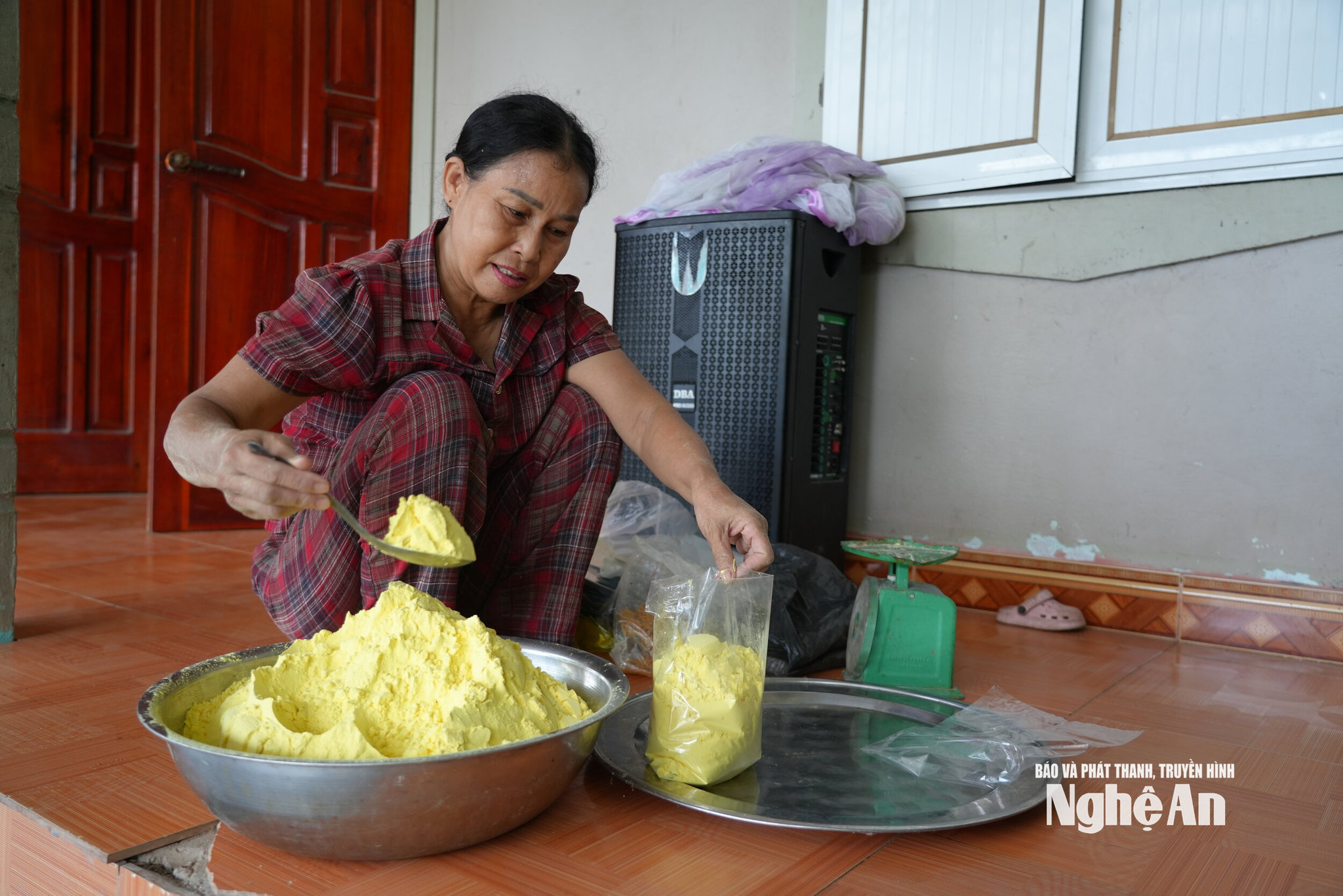 nghệ 6