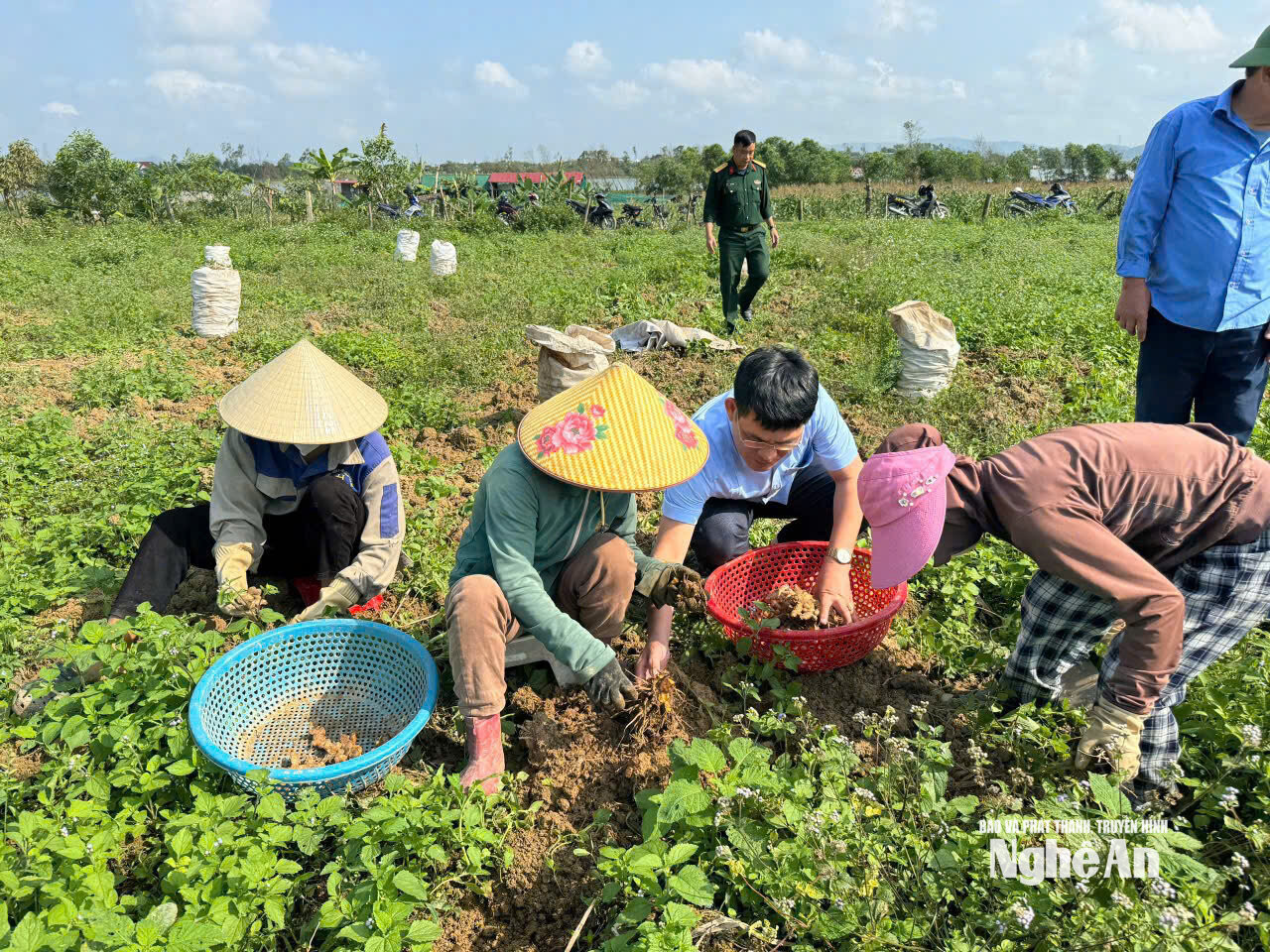 nghệ 9