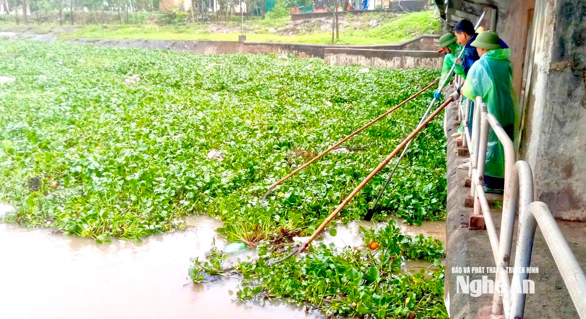Vớt b&egrave;o để th&ocirc;ng d&ograve;ng chảy tại cống Bara Nghi Quang s&aacute;ng 20/8. Ảnh: Văn Trường