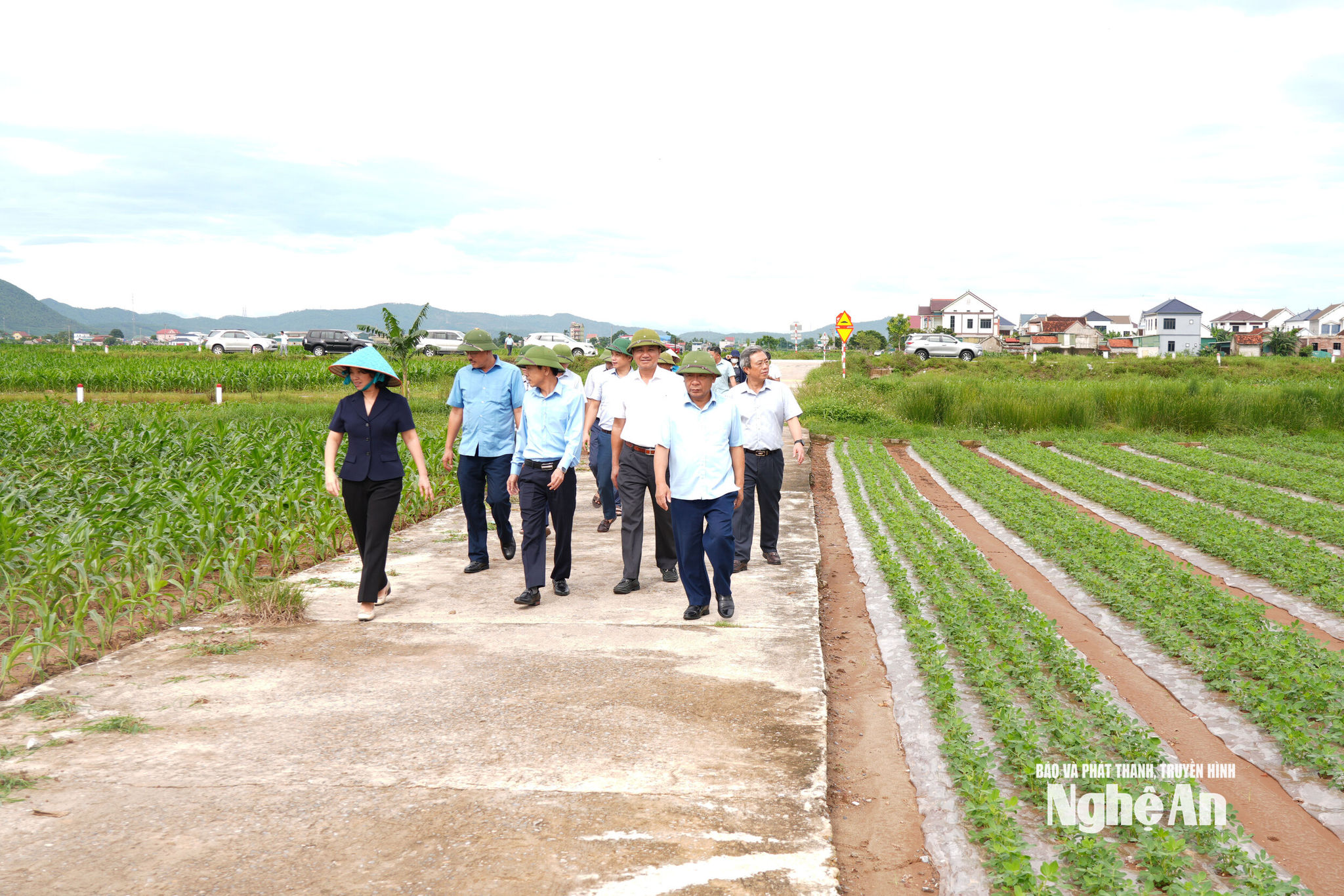  a đệ 1