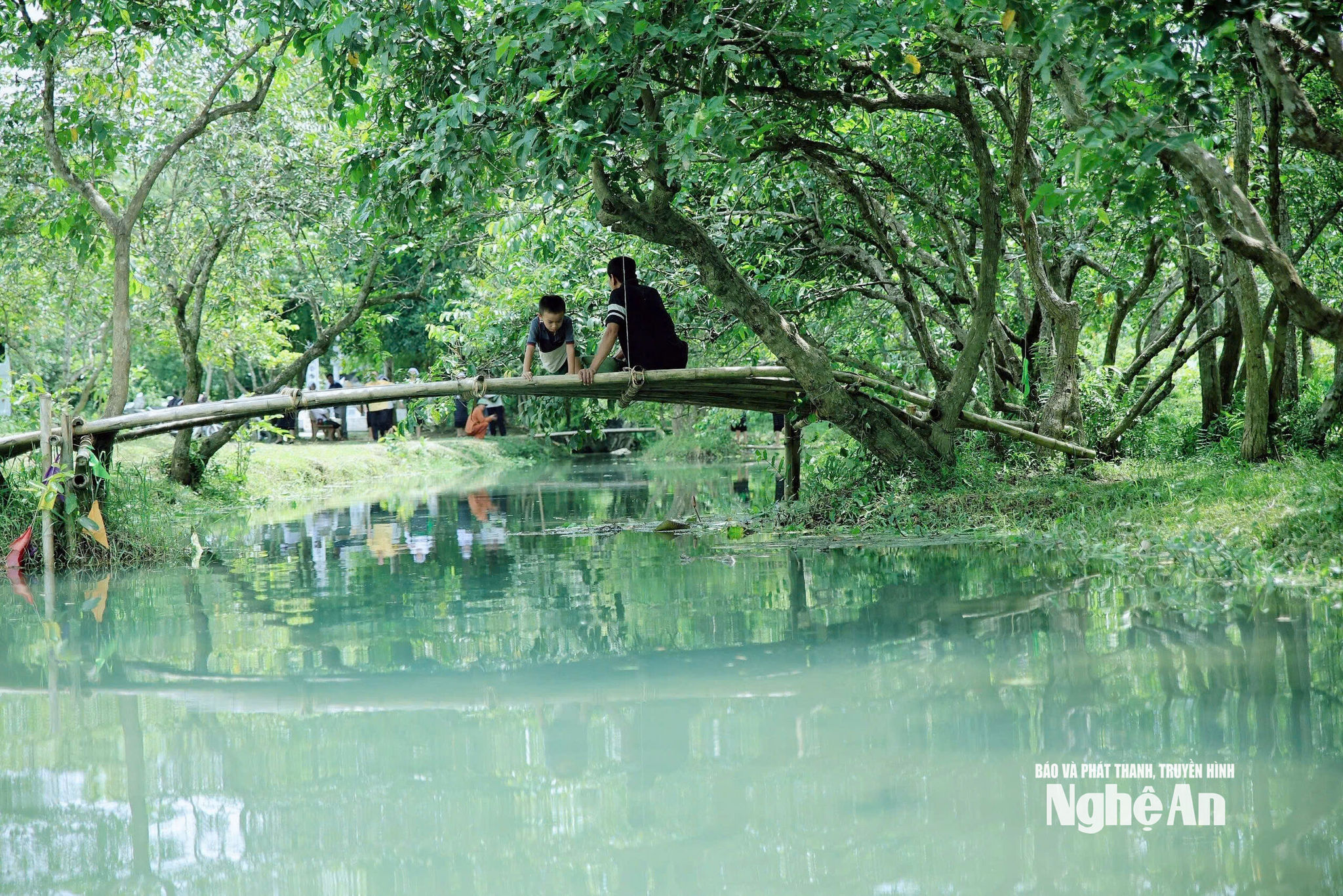 ảnh chỉnh 4