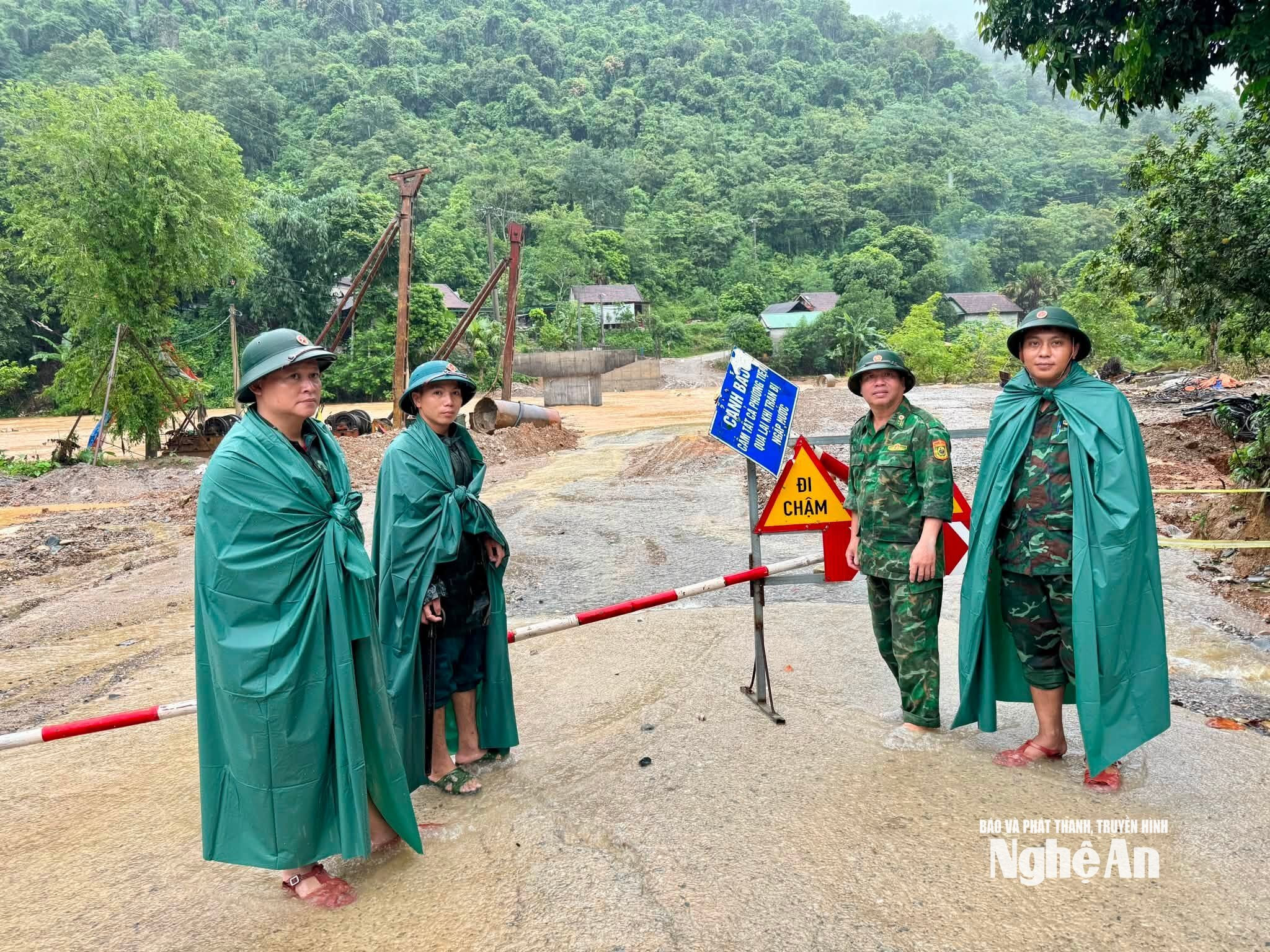 tam thái