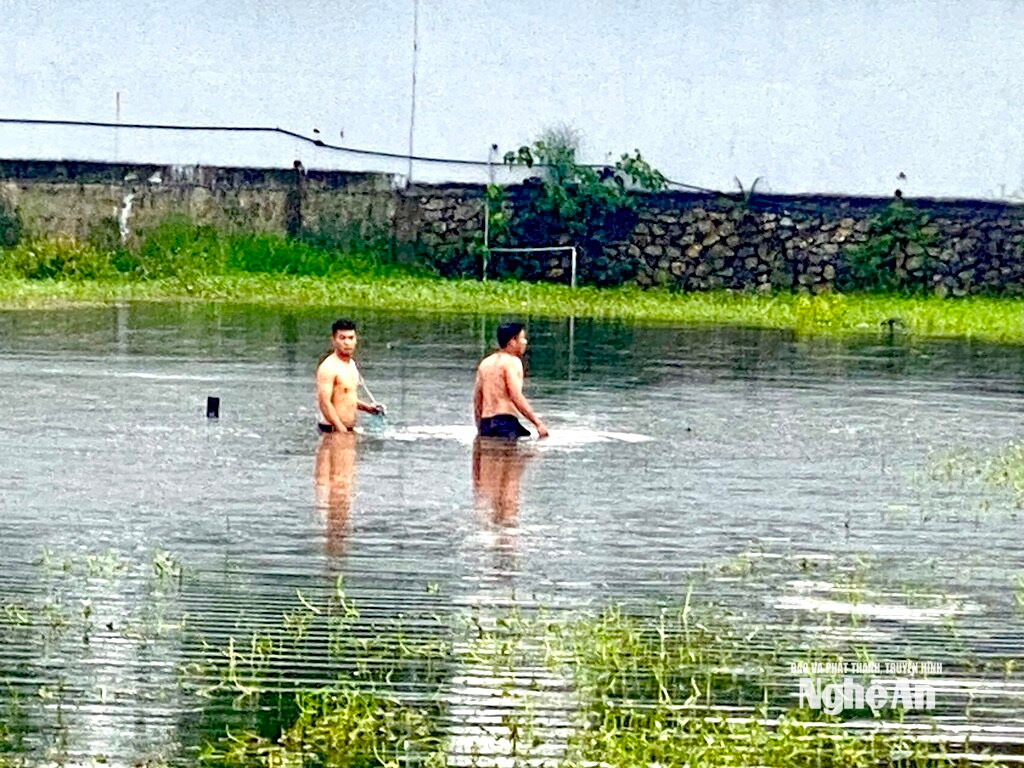 Người dân xóm Ngọc Văn, xã Diễn Châu lội vùng ngập nước thả lưới. Ảnh: Văn Trường