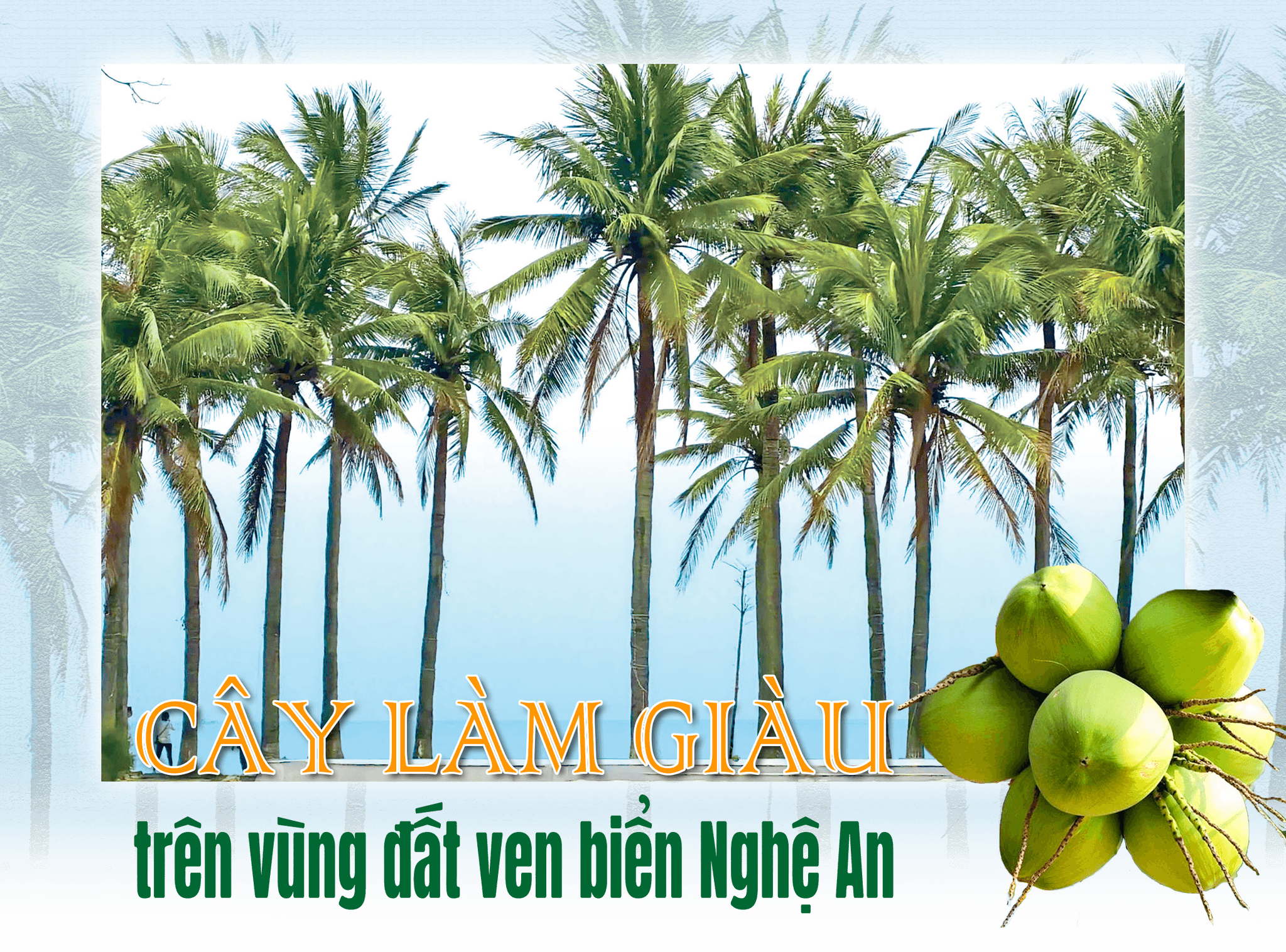 caylamgiauvungvenbien-cover(1).png