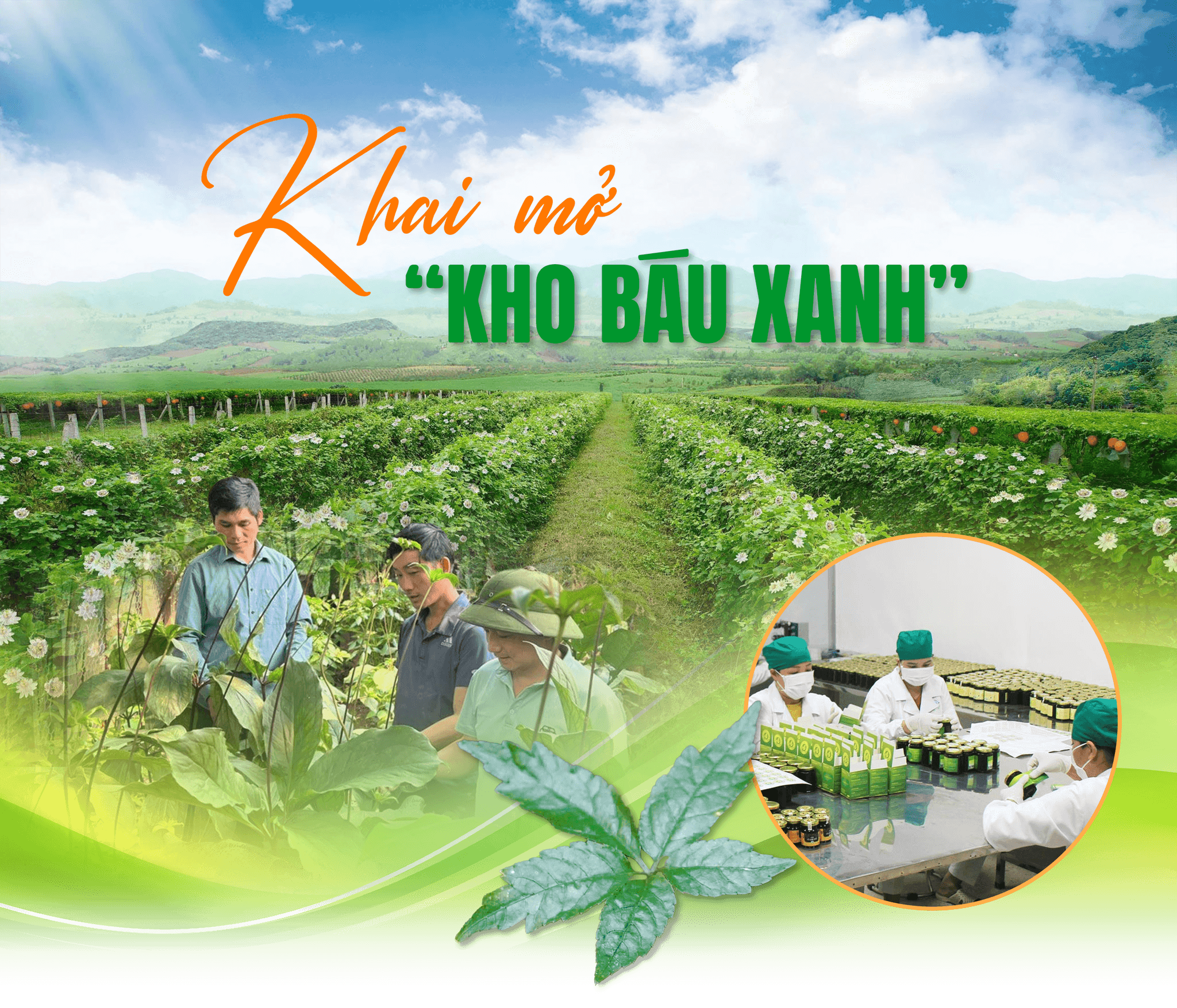 khobauxanh-cover.png