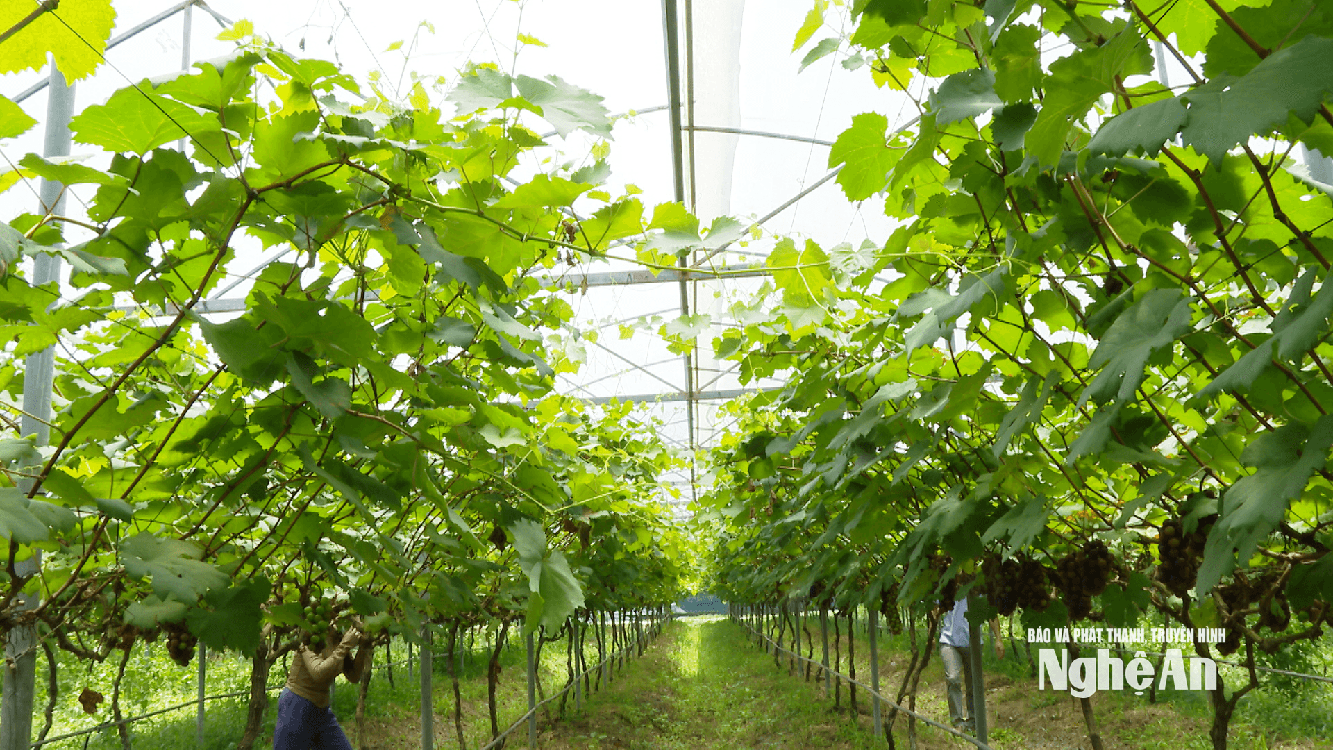 Đột phá khoa học đổi mơi ssáng ạo (1)
