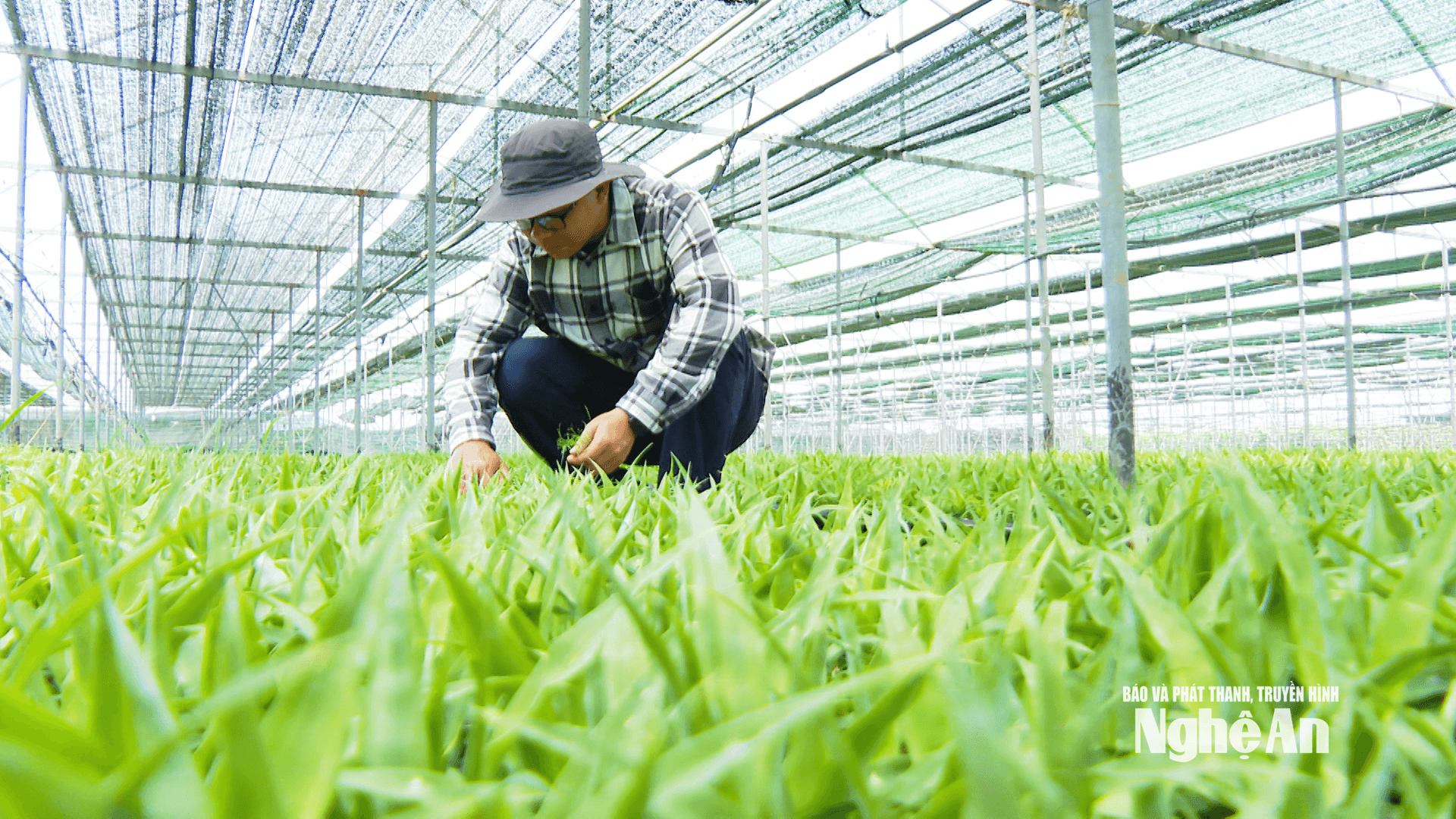 Đột phá khoa học đổi mơi ssáng ạo (3)
