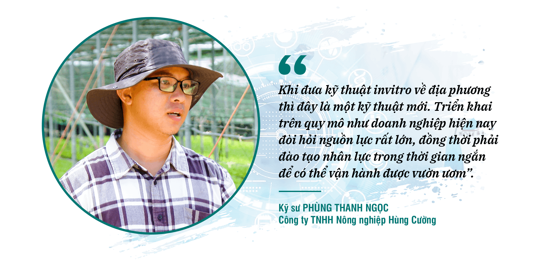 phungthanhngoc-quote.png