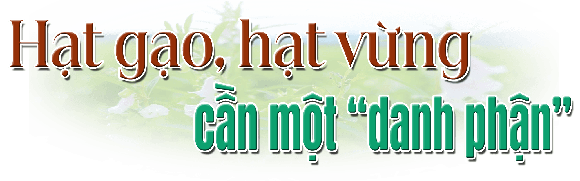 titphu2(1).png