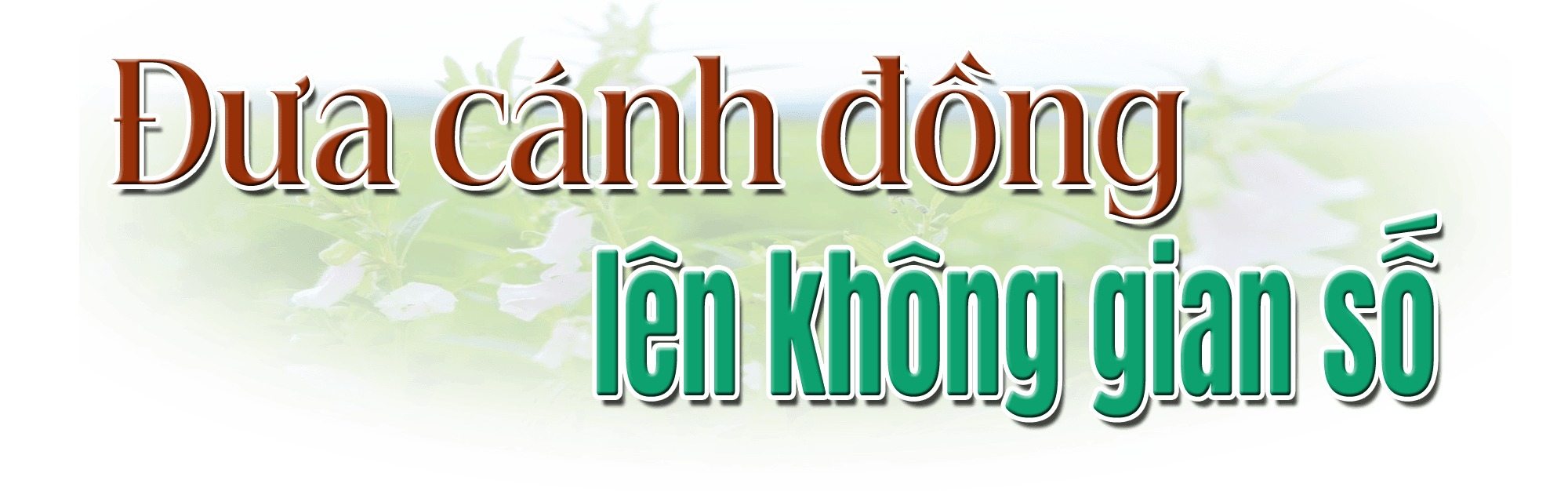 titphu3.png