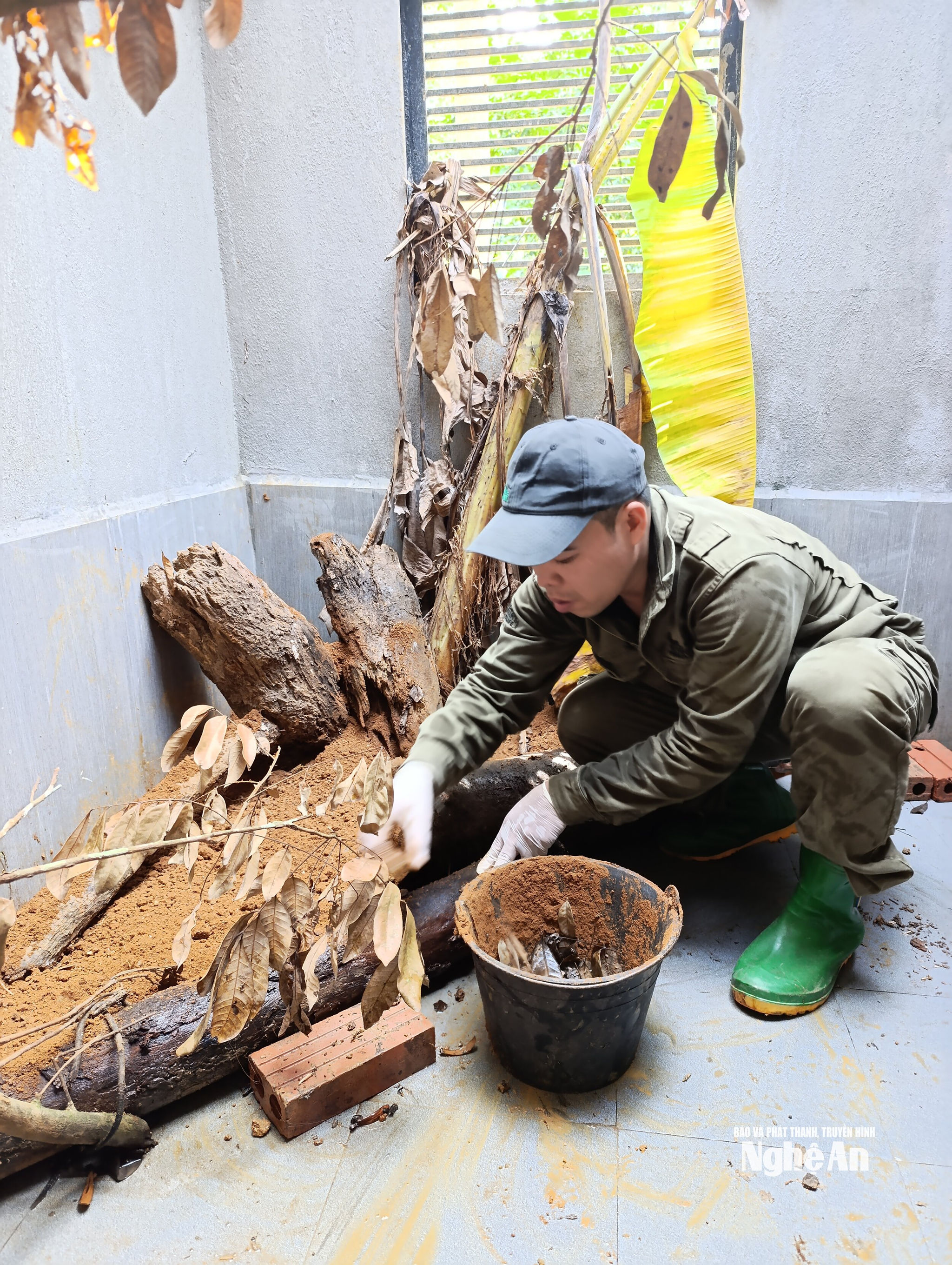 Ảnh 5. Một trong những công việc được các nhân viên chăm sóc ở đây rất thích thú là tạo đồ chơi và làm chỗ ẩn nấp cho các cá thể được đưa về nuôi dưỡng tại Vườn.