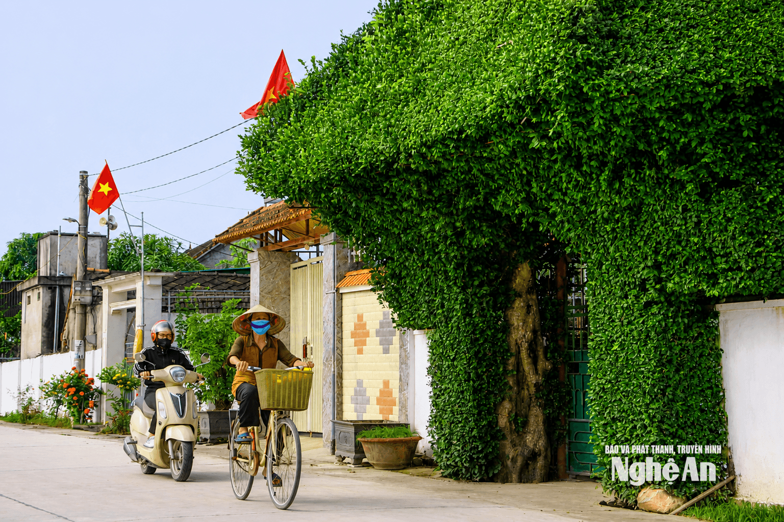 hung tân