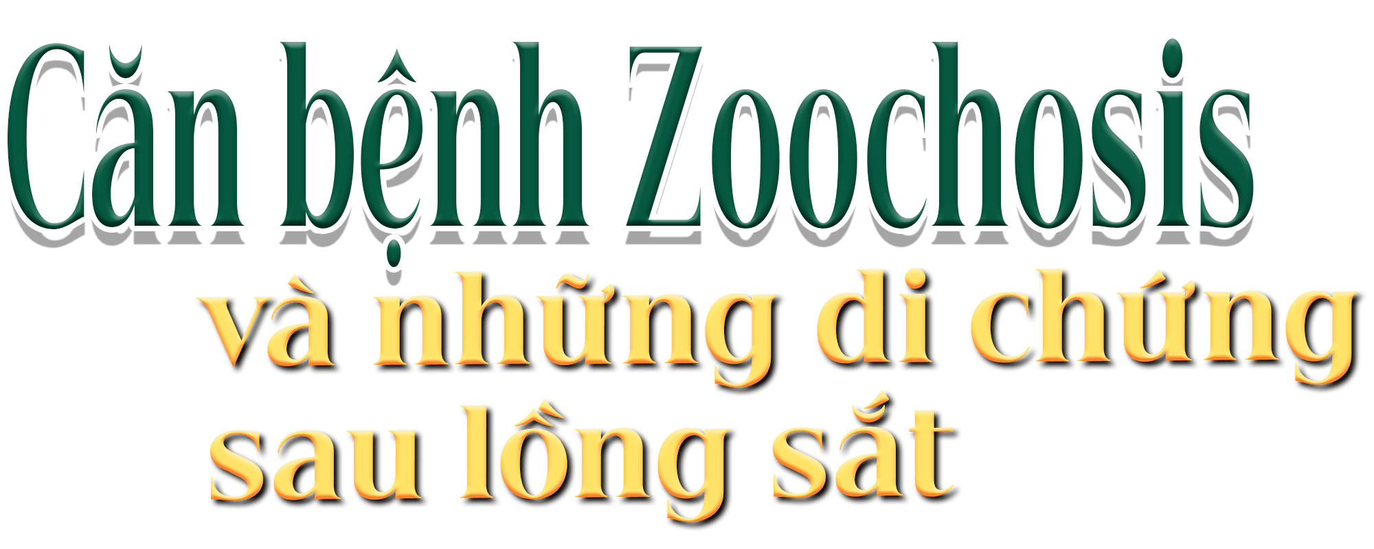 titphu1(1).png