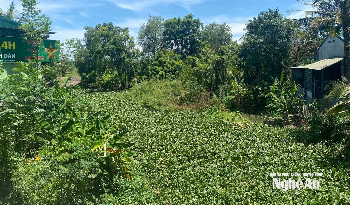 van truong mẻttyyy
