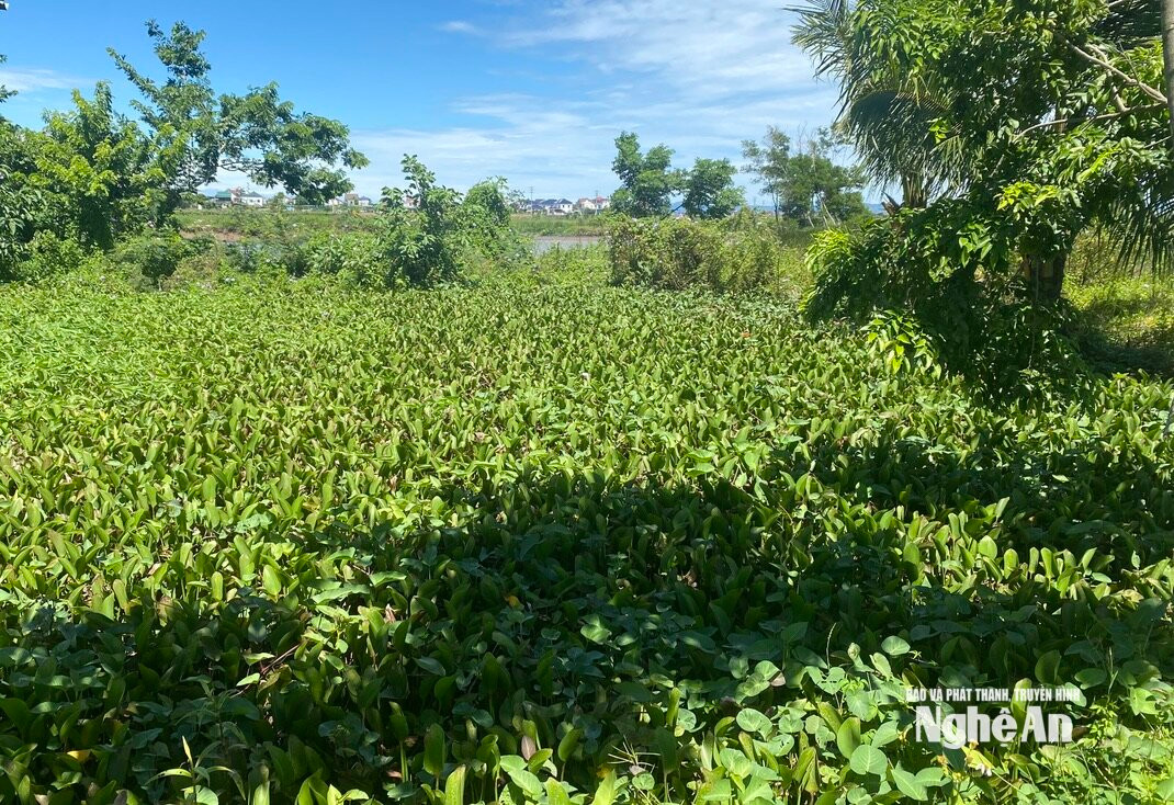 van truong mẻtyyy