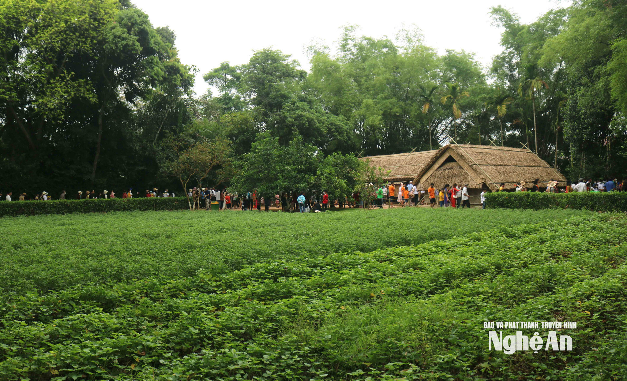 bna_du-khach-thap-phuong-ve-tham-que-bac-anh-huy-thu.jpg