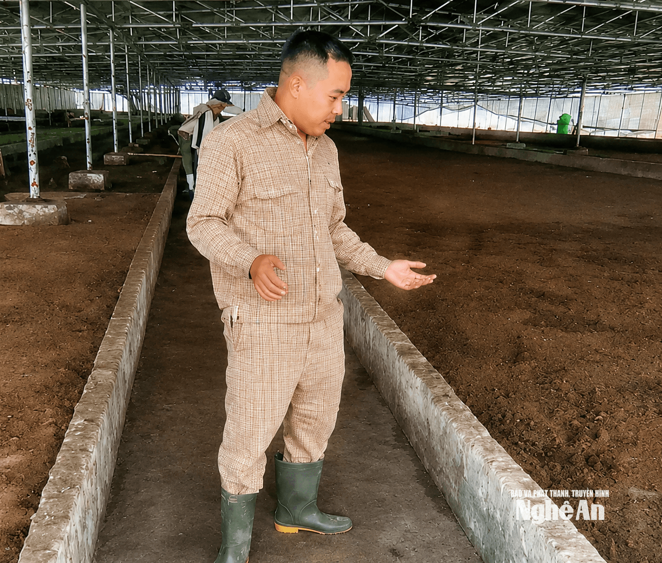 bna_binh.png