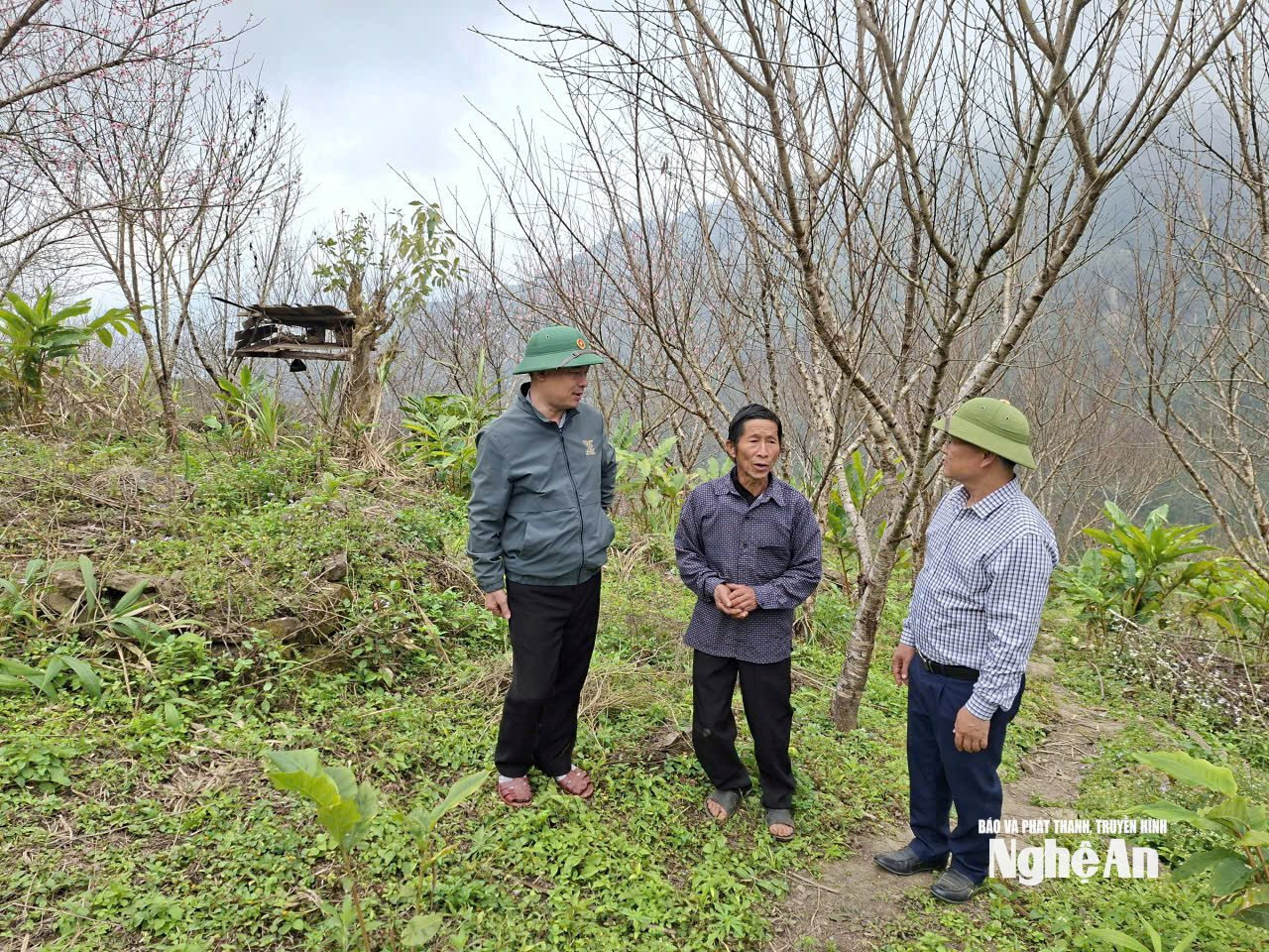 Cán bộ xã Nhôn Mai trao đổi với người dân về giữ gìn và phát triển các vườn đào. Ảnh: Khánh Ly