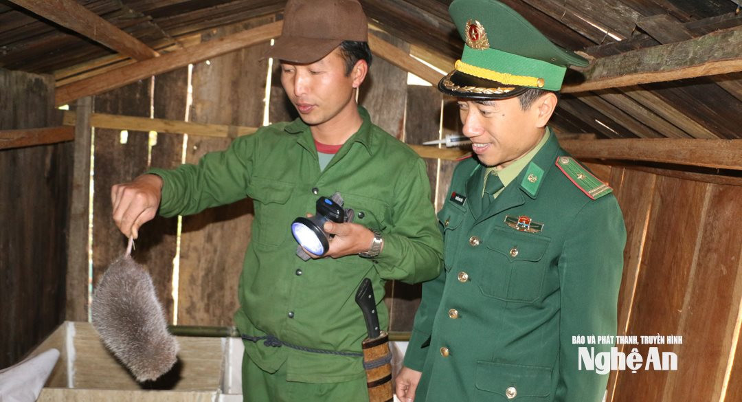 bna_nguoi-dan-ban-huoi-co-mo-huong-nuoi-dui.-anh-kl-b3a89fb755c845178574778953d4e3f0.jpg