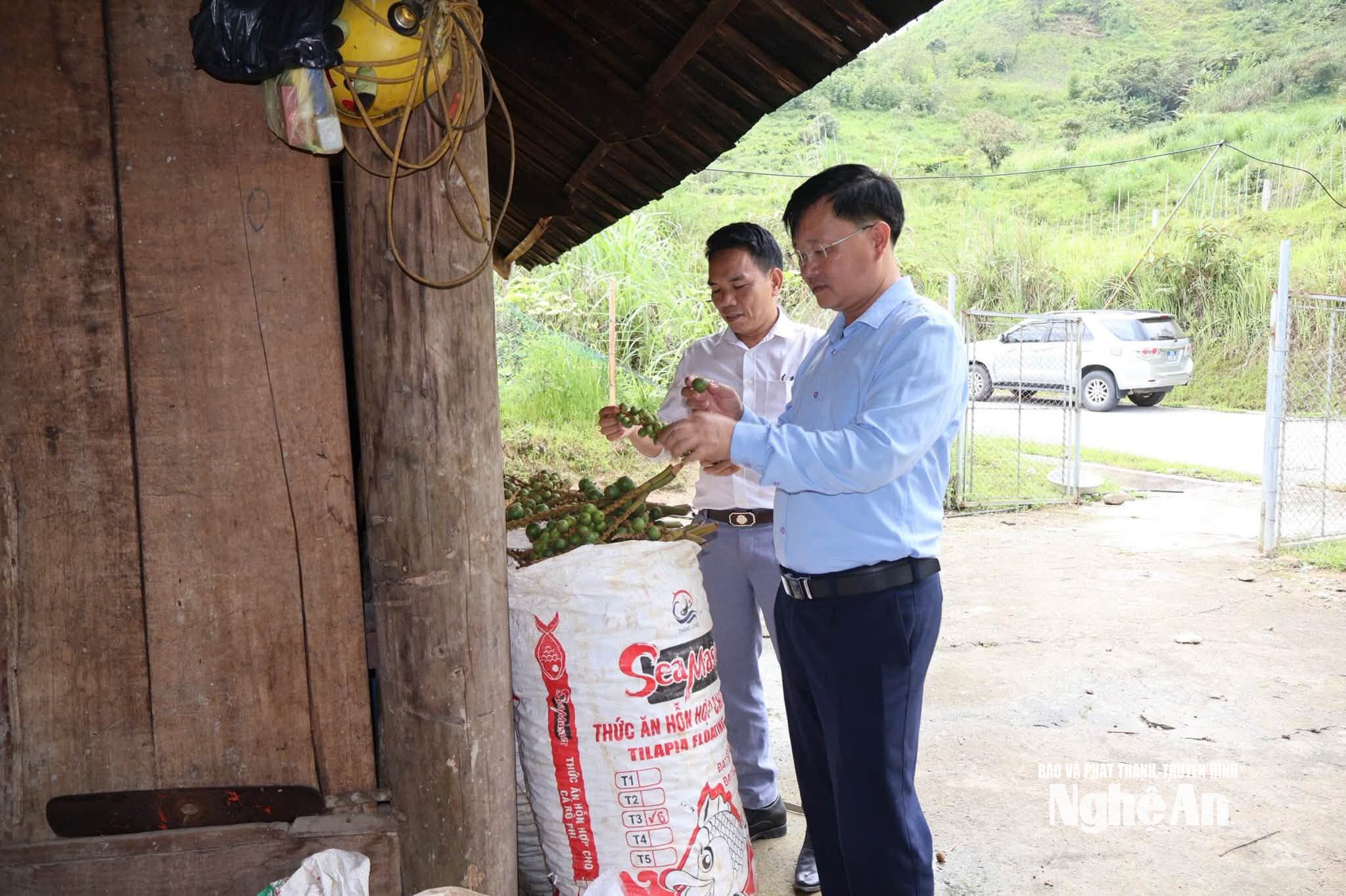 Lãnh đạo xã Nhôn Mai kiểm tra chất lượng nông sản ở thôn bản.