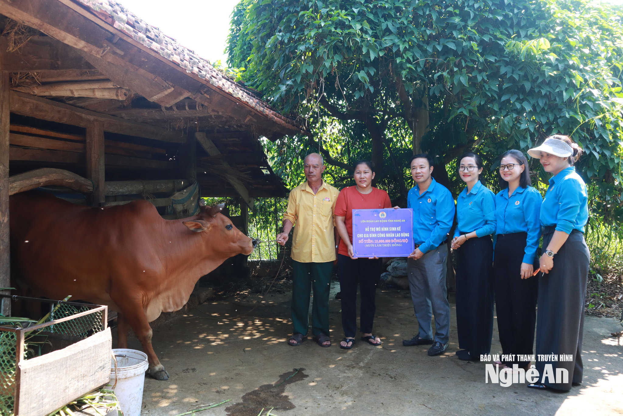 liên đoàn hỗ trợ sinh kế Ảnh Diệp Thanh00008