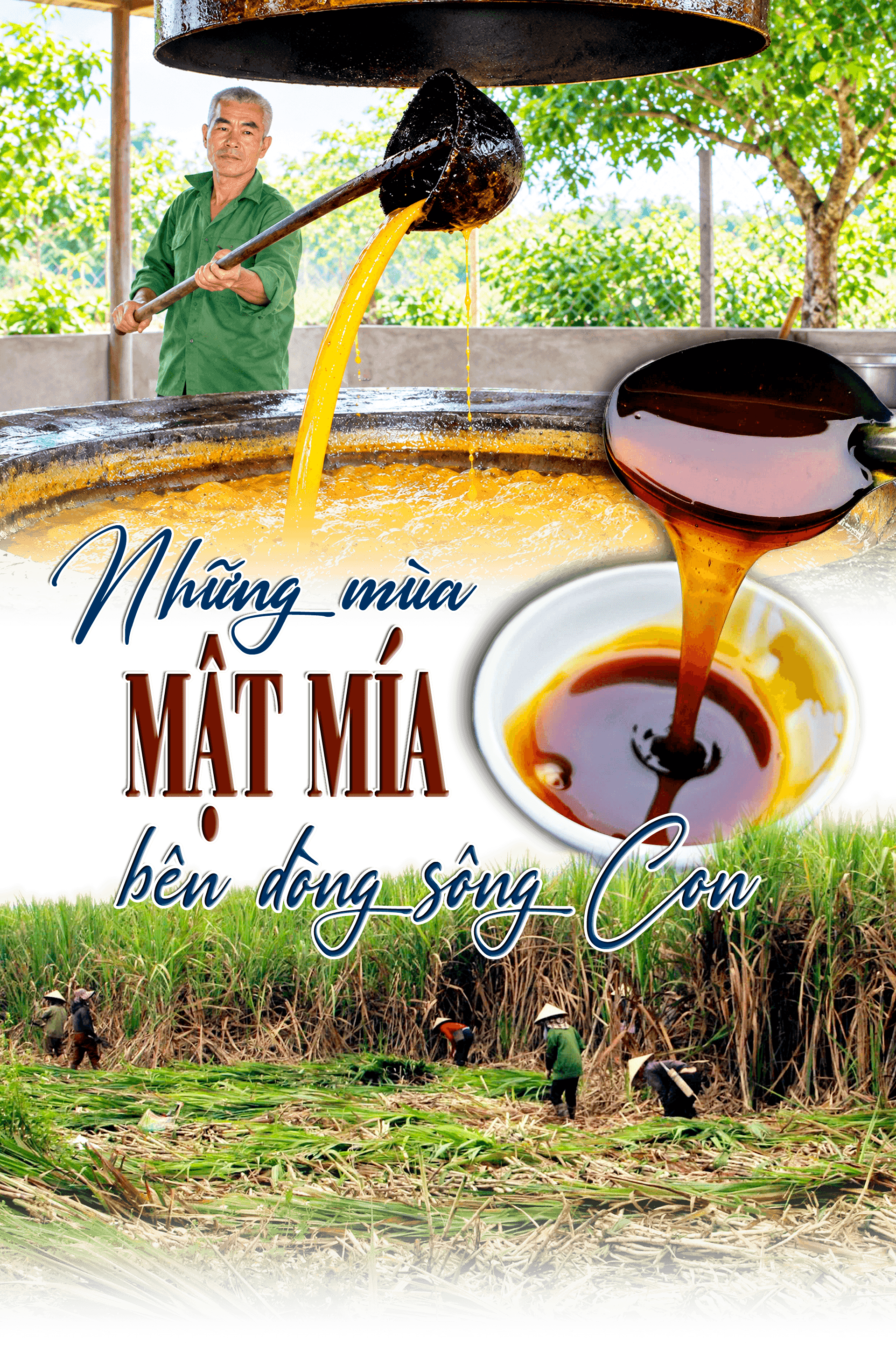 cover-matmia.png