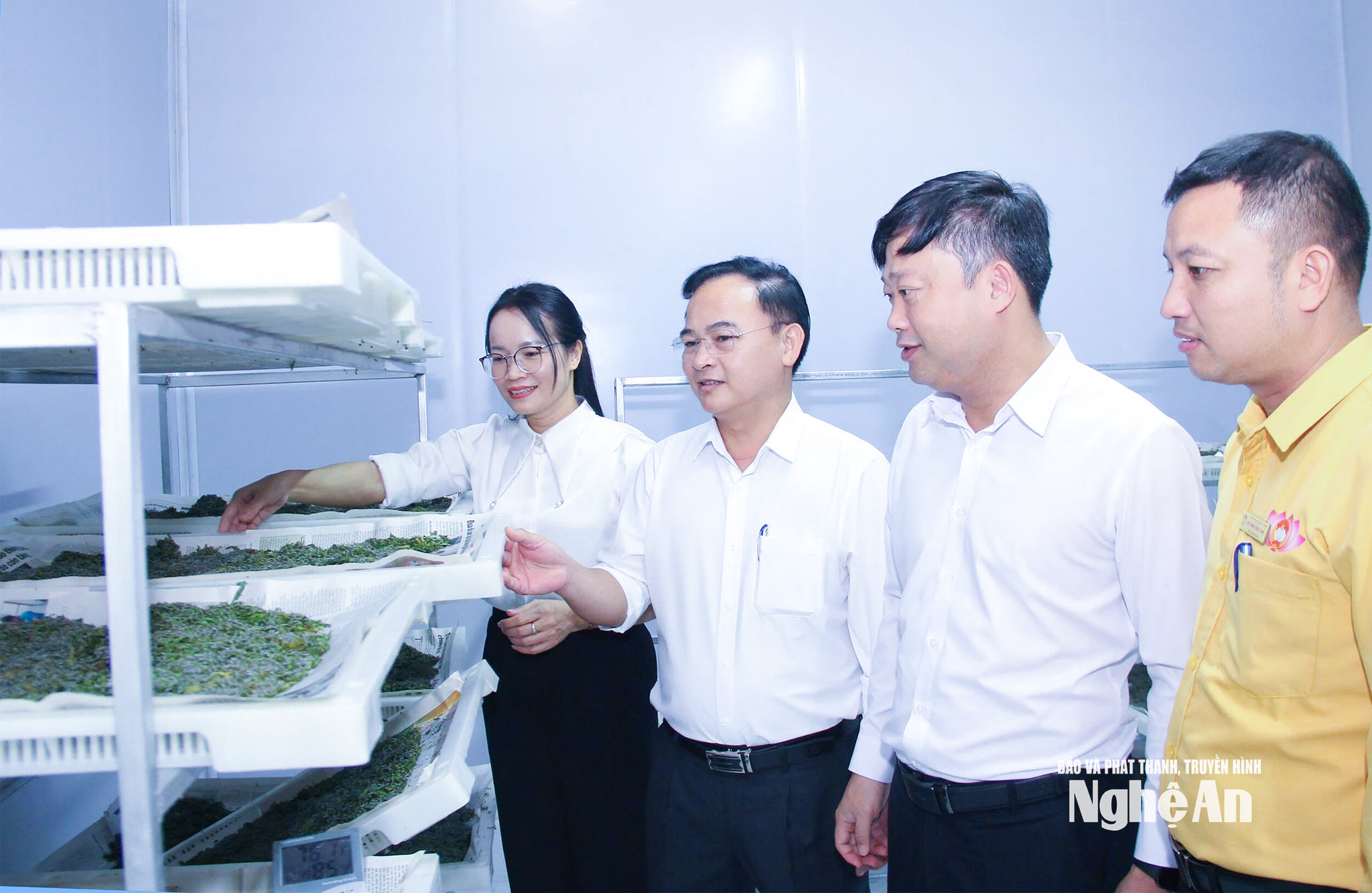 -can-bo-xa-thuan-trung-kiem-tra-mo-hinh-nuoi-va-cung-ung-giong-tam-tren-dia-ban.-anh-mai-hoa-ff35bd7628892bbdb8fa2ce040c58c3e copy