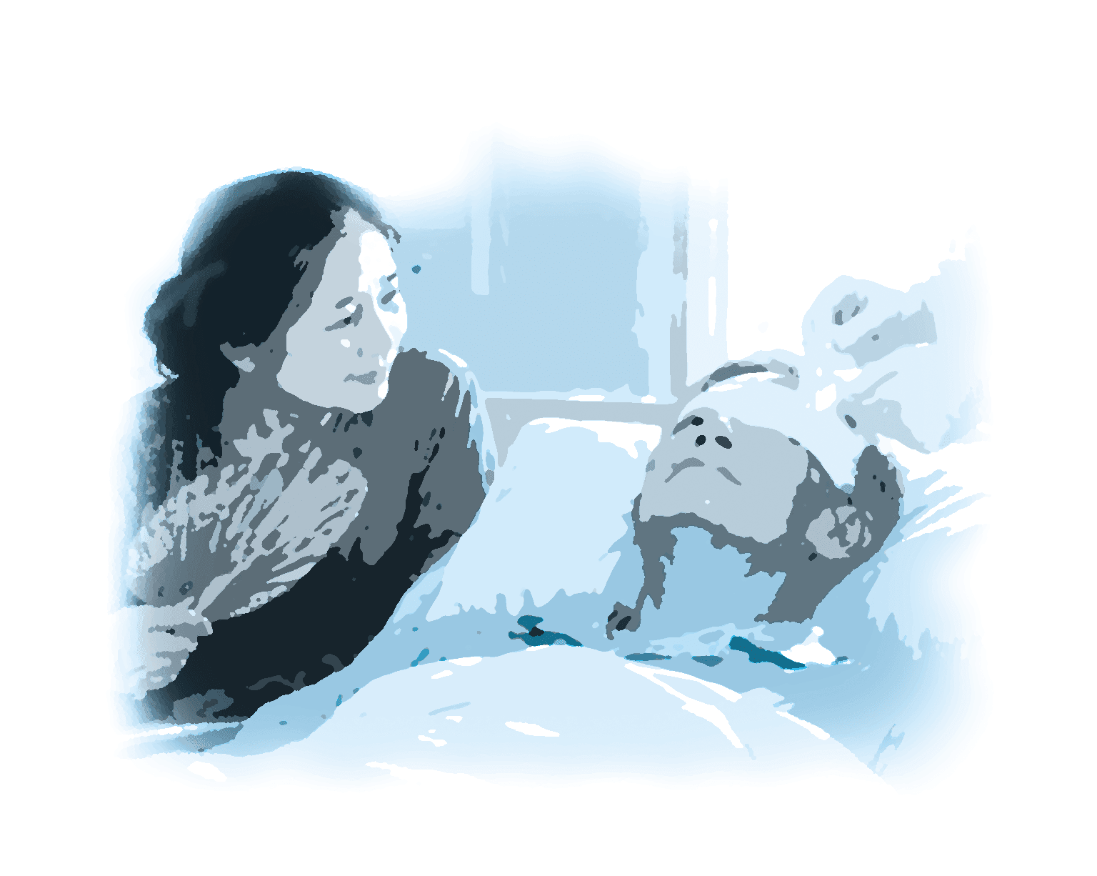 Minh họa Hồng Toại