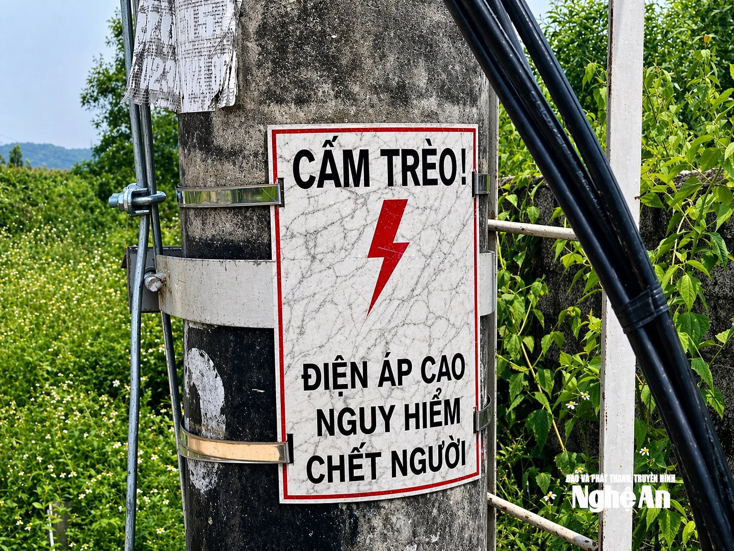 ảnh điện