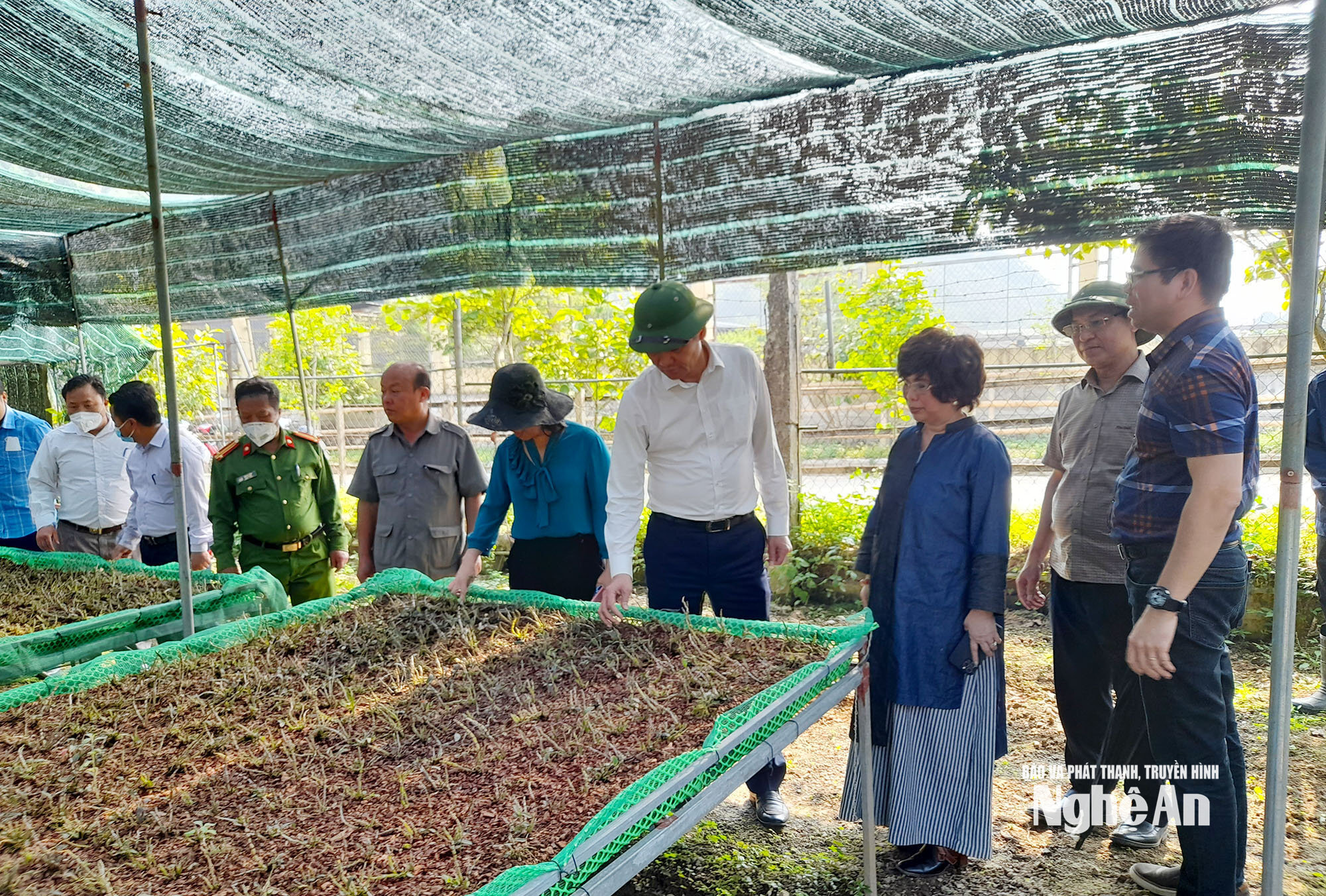 ảnh dược liệu 1