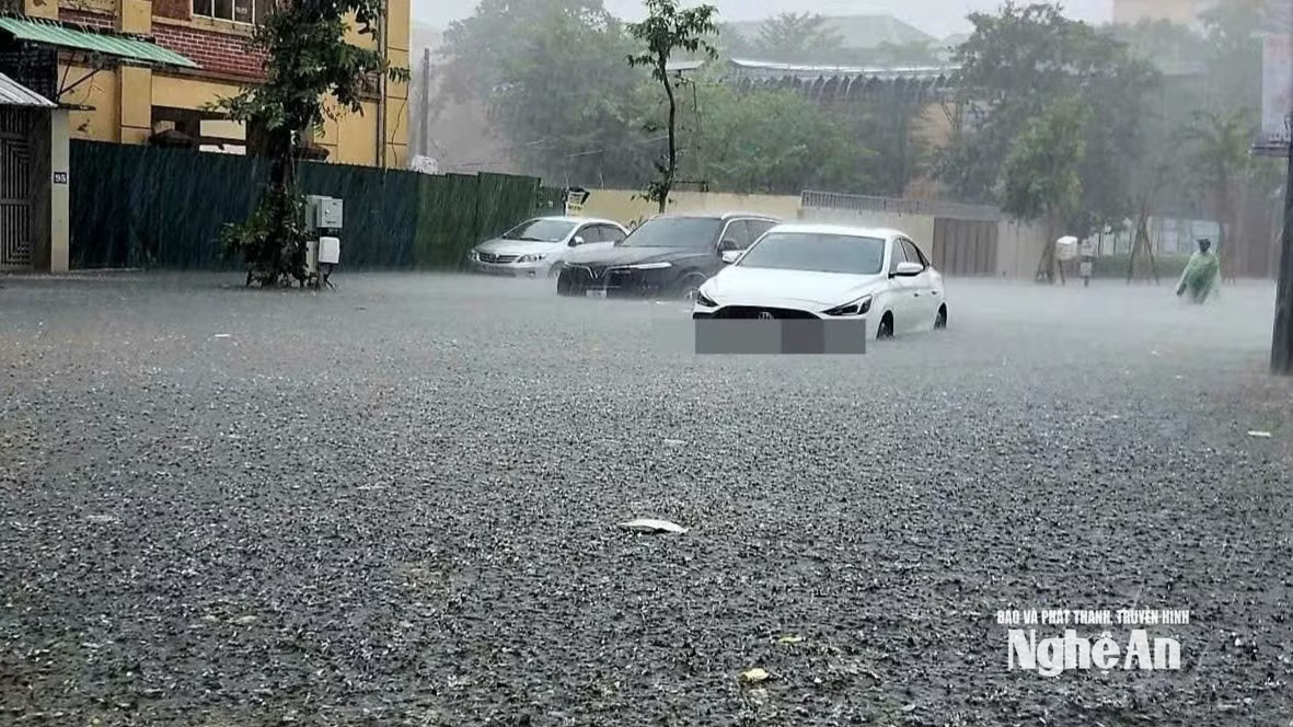  Mưa lụt ngay 19