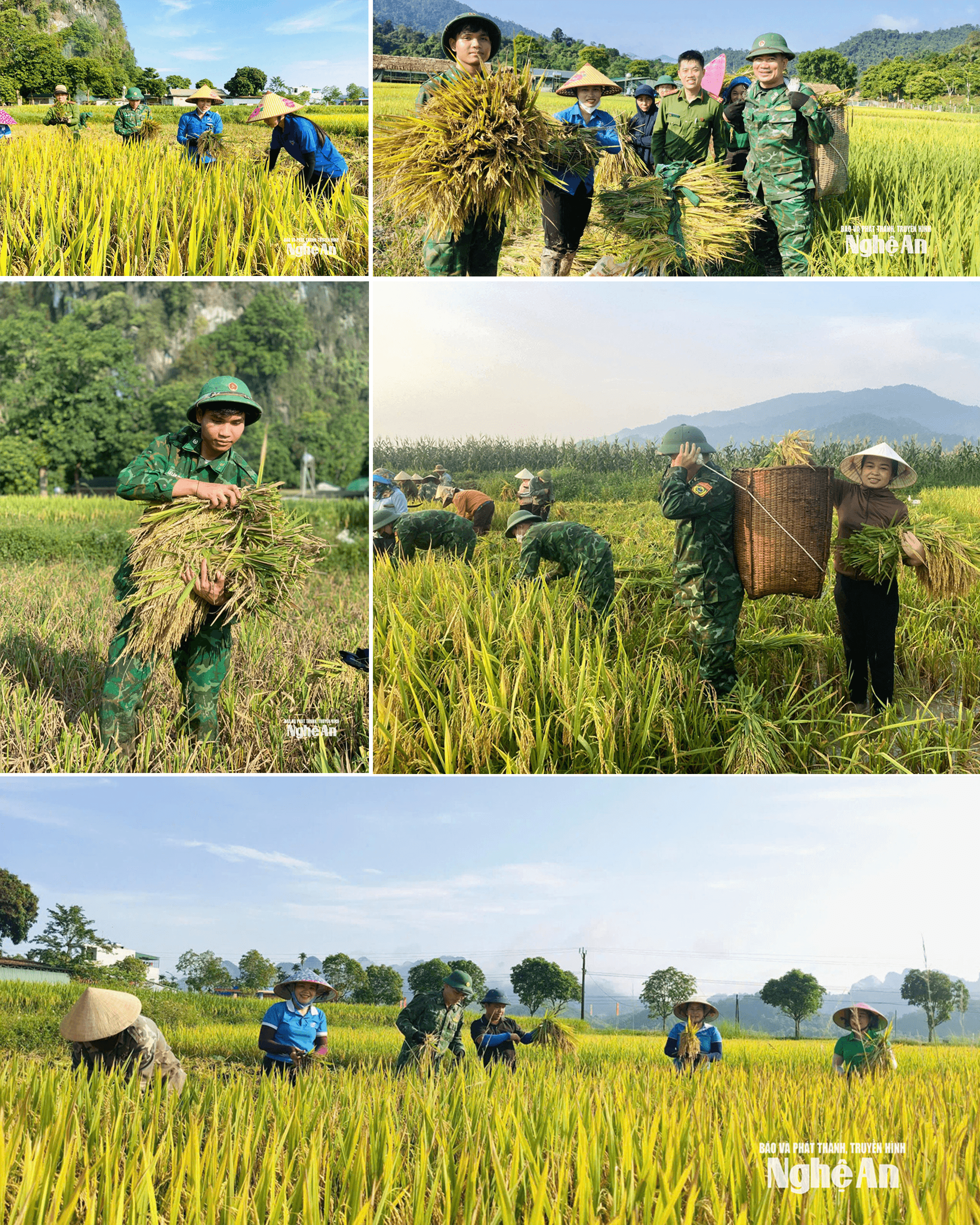 anh1(1).png