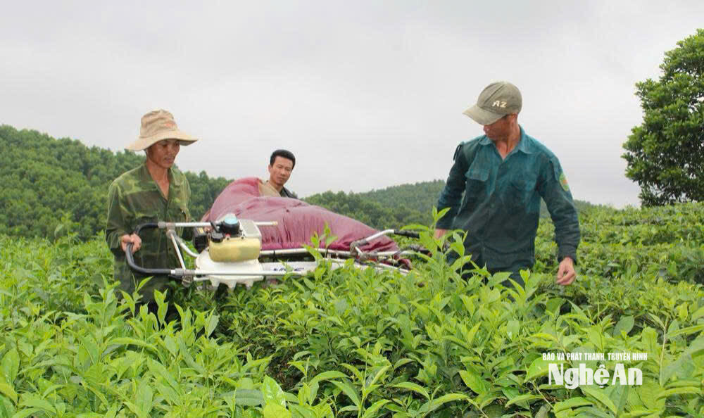  Bà con Sơn Lâm