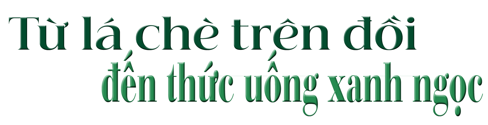 titphu1(1).png
