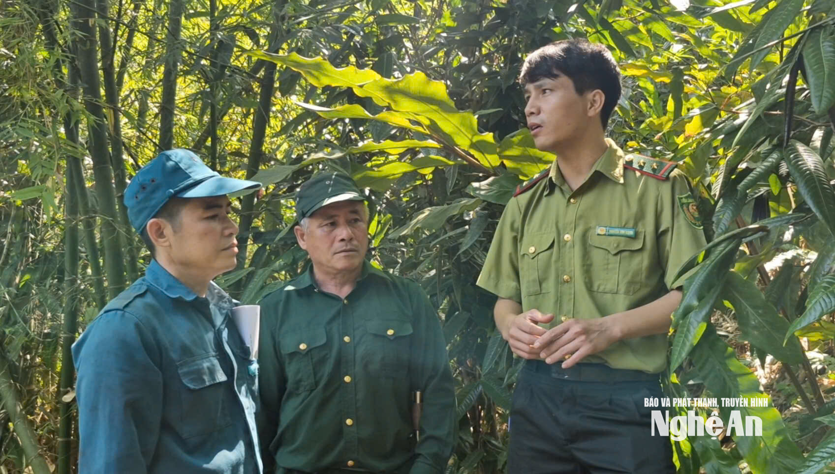 Anh Nguyễn Văn Mạnh, Trưởng phòng Khoa học - Hợp tác quốc tế, Khu bảo tồn thiên nhiên Pù Hoạt hướng dẫn Trưởng bản Ngân Văn Tuấn và ông Lô Văn Sinh cách phân loại, cất giữ hoa chè hoa vàng sau khi thu hái. Ảnh: Nhật Lân