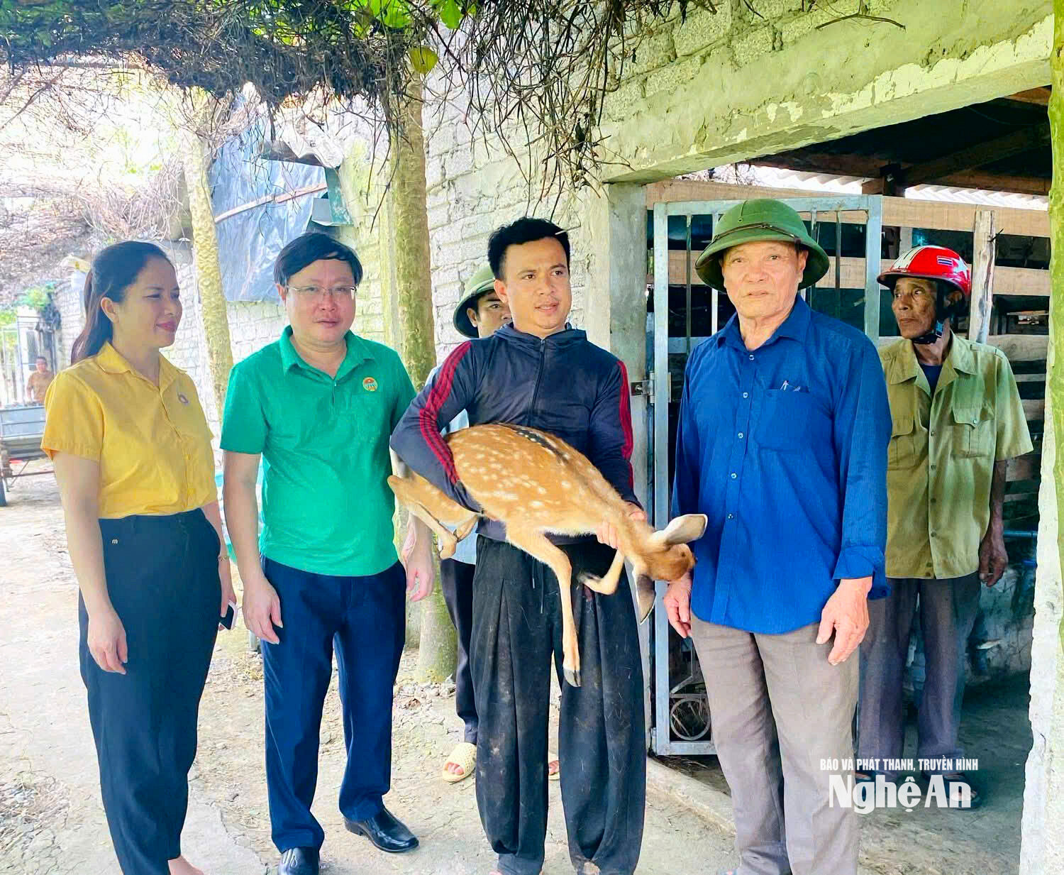 Chủ tịch Hội nông dân xã Quỳnh Anh Trần Minh Chính ( áo xanh thứ hai trái sang) thăm mô hình nuôi hươu của hội viên. Ảnh CSCC