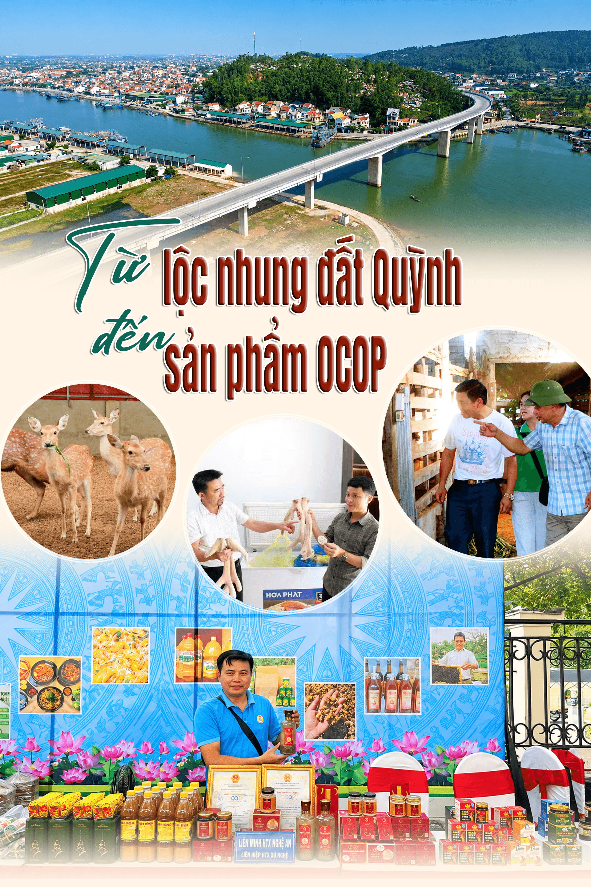 cover-locnhung.png