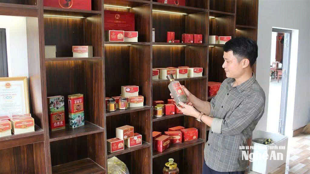 Nhiều sản phẩm từ nhung hươu của Công ty TNHH Thương mại và Dịch vụ Nhung hươu Bảo Long đã đạt chuẩn OCOP 3 sao. Ảnh CSCC