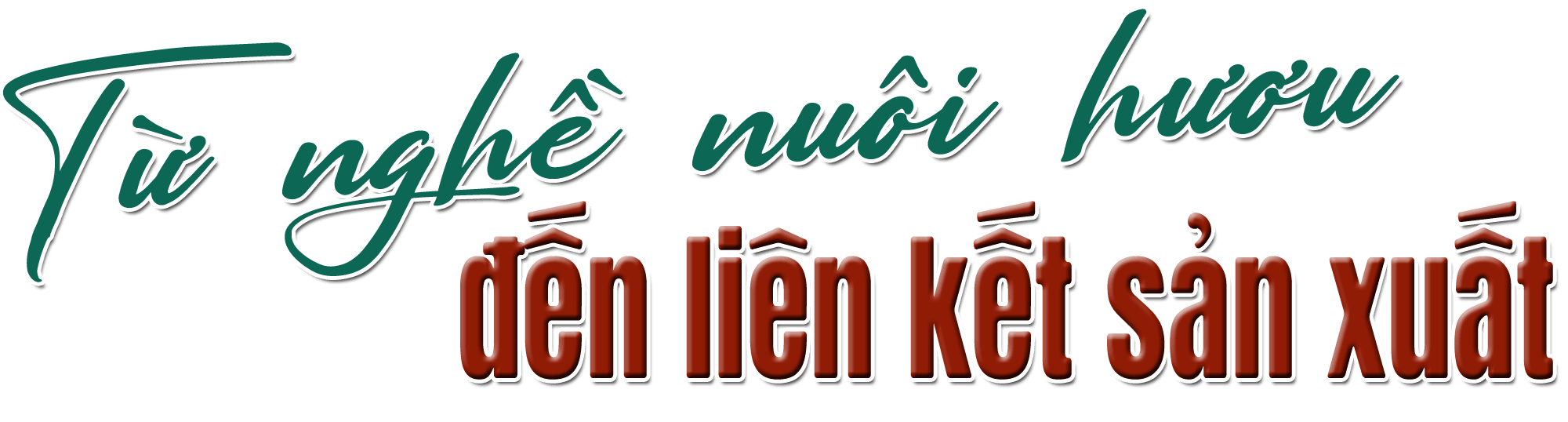 titphu1(2).png